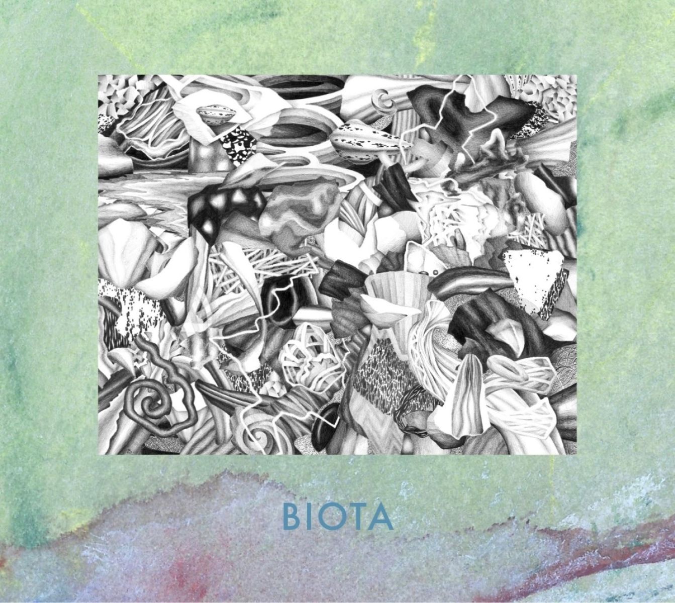 Biota - Measured Not Found