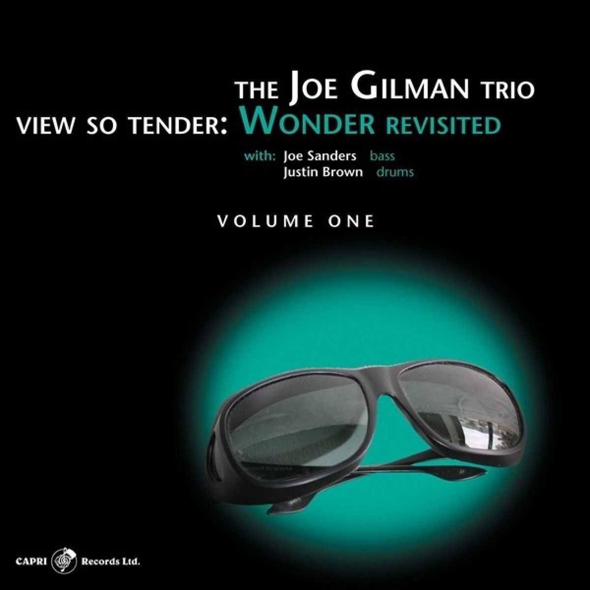Afbeelding van Joe Gilman - View So Tender: Wonder Revisted Vol.1