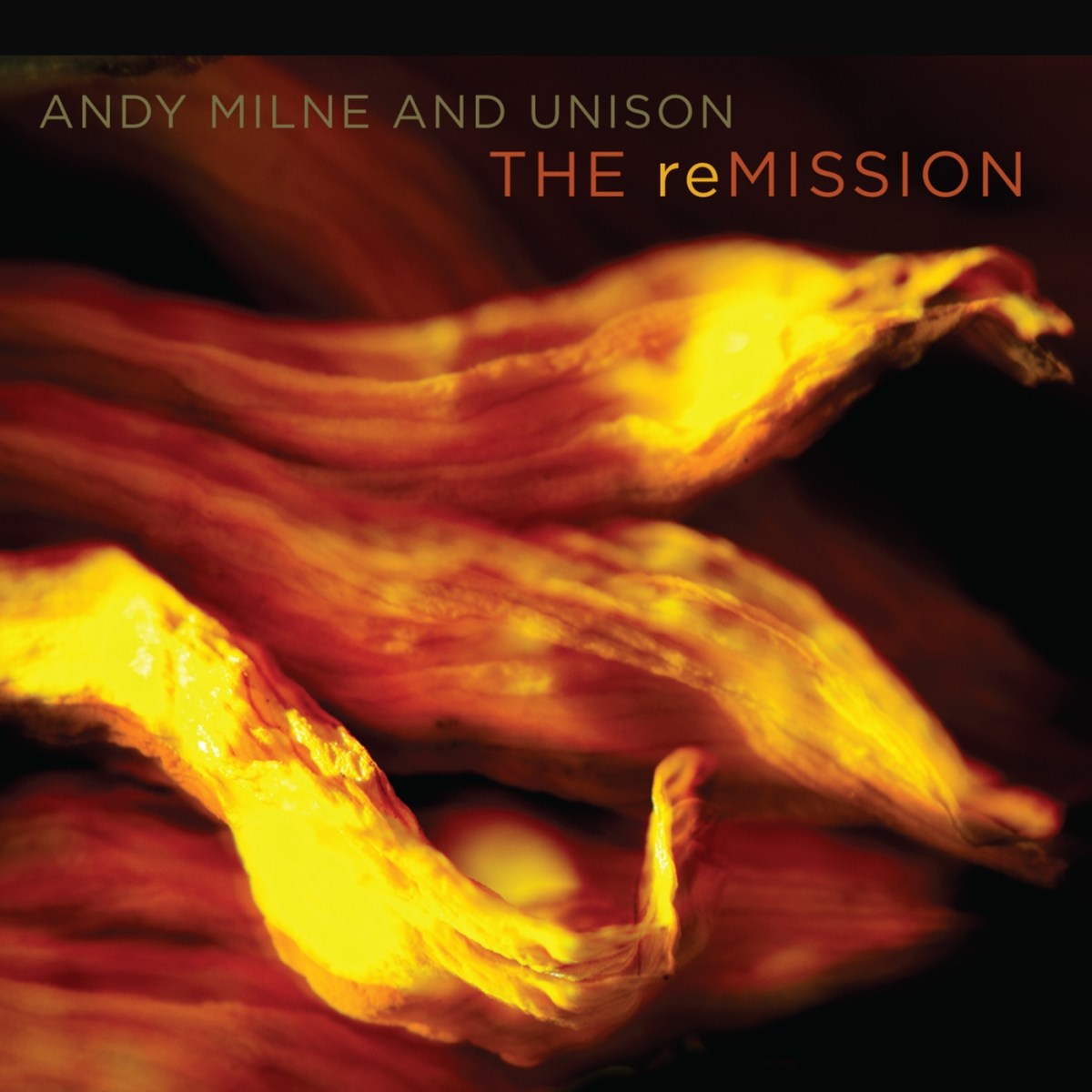 Afbeelding van Andy Milne & Unison - The Remission