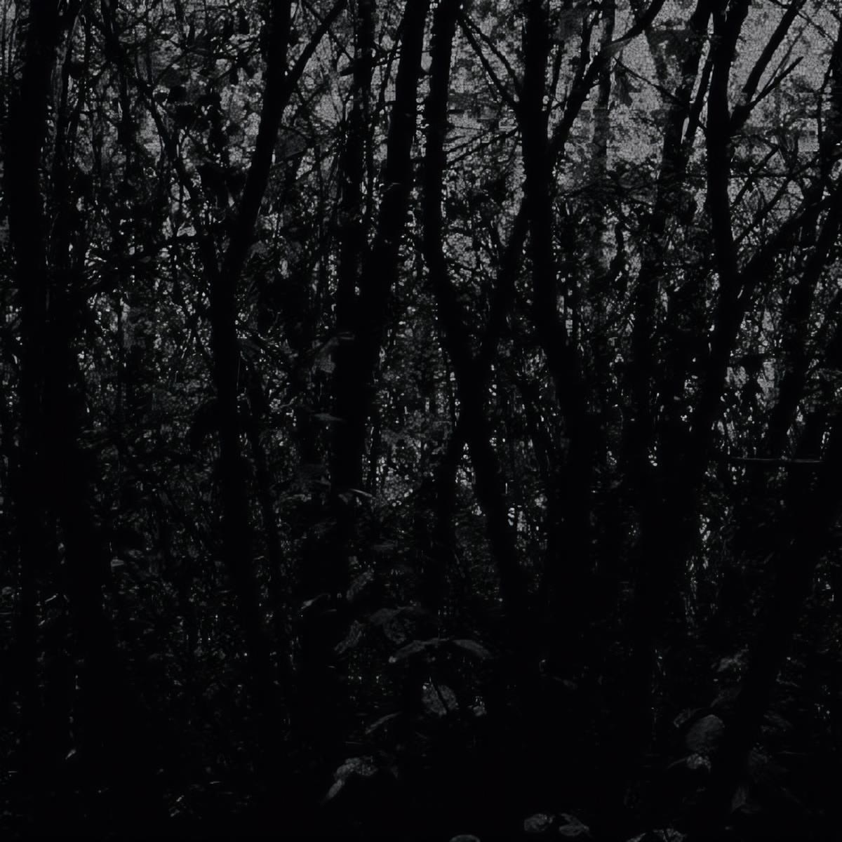 Unfold - Cosmogon
