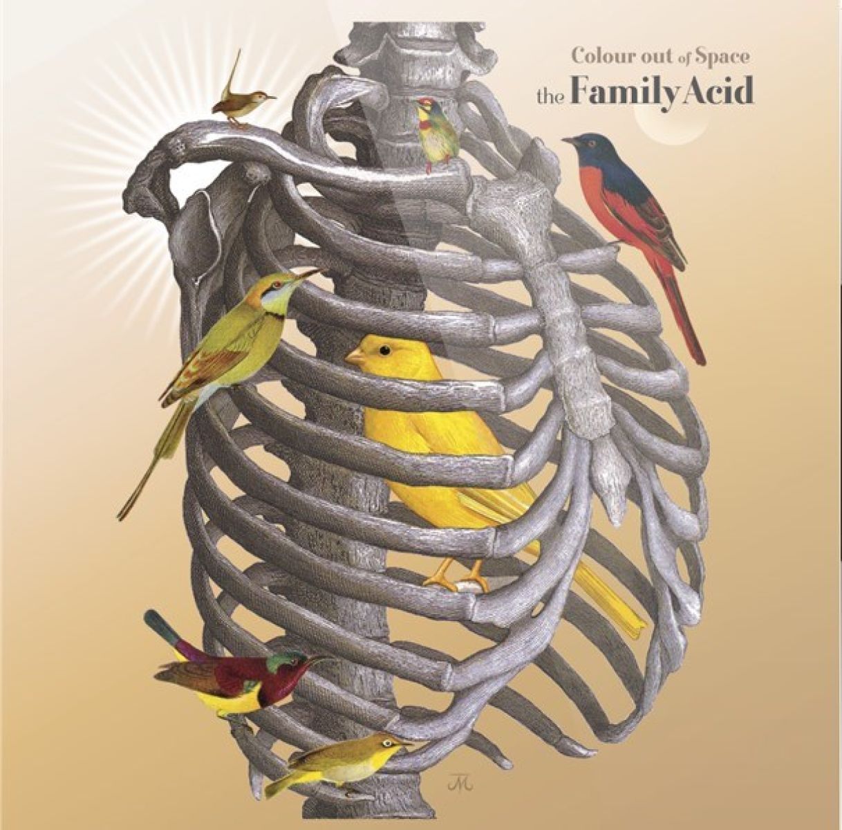 The Family Acid - Colour Out Of Space