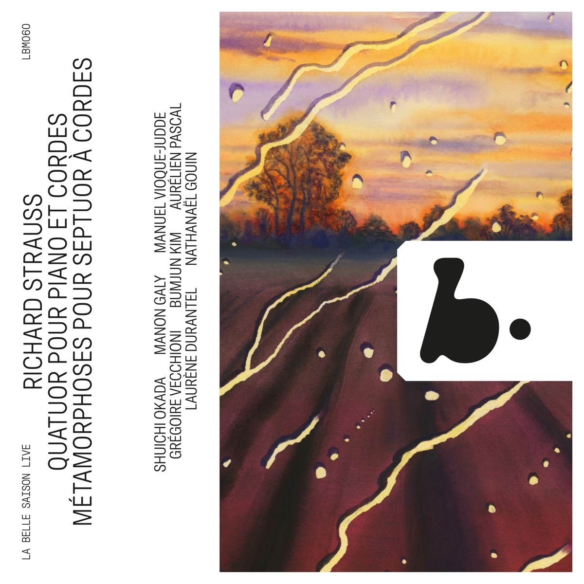 Afbeelding van Trio Arnold, Manon Galy, Gregoire Vecchioni, Aurélien Pascal - Strauss: Piano Quartet, Op. 13 Quatuor Pour Piano Et Cordes