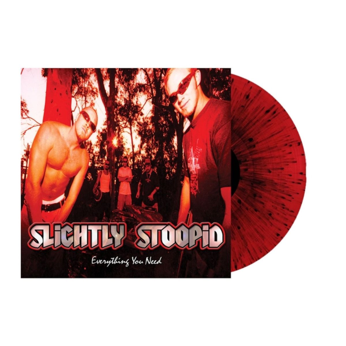 Afbeelding van Slightly Stoopid - Everything You Need