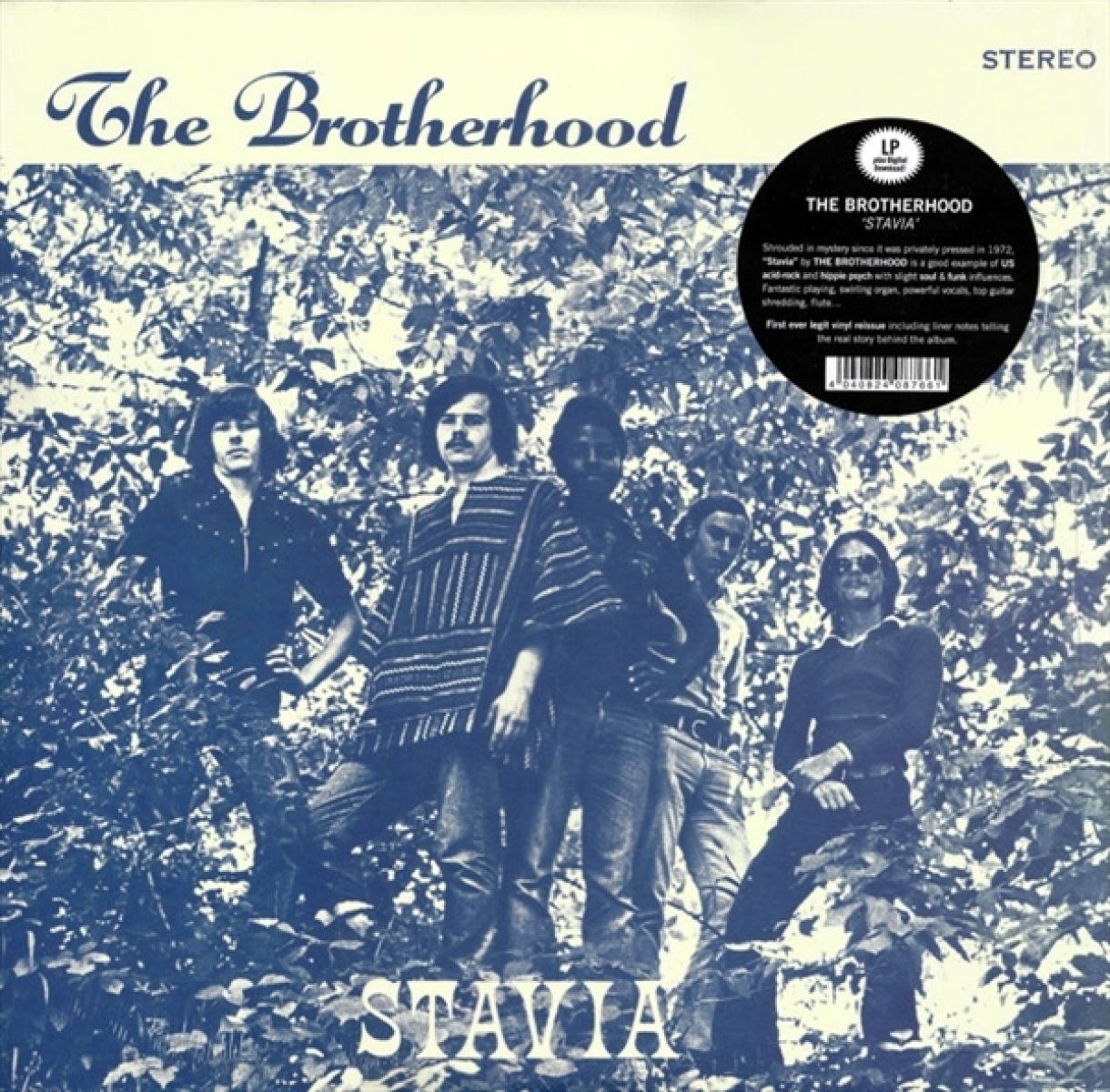 Afbeelding van The Brotherhood - Stavia