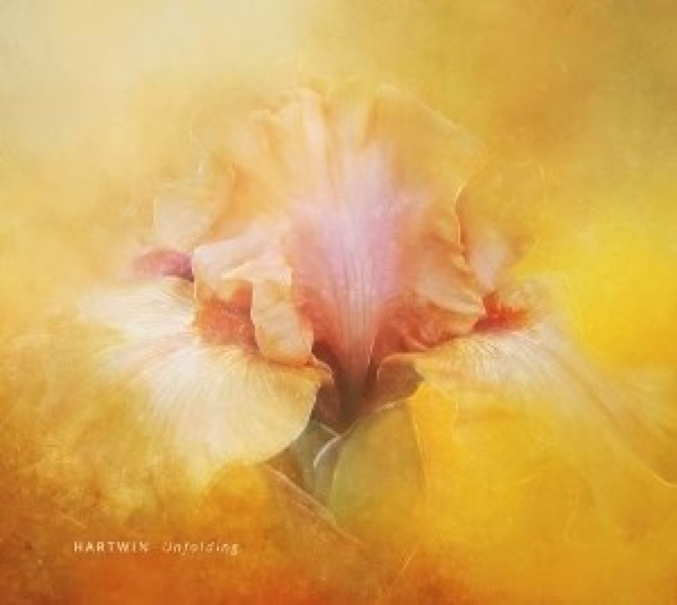Afbeelding van Hartwin - Unfolding