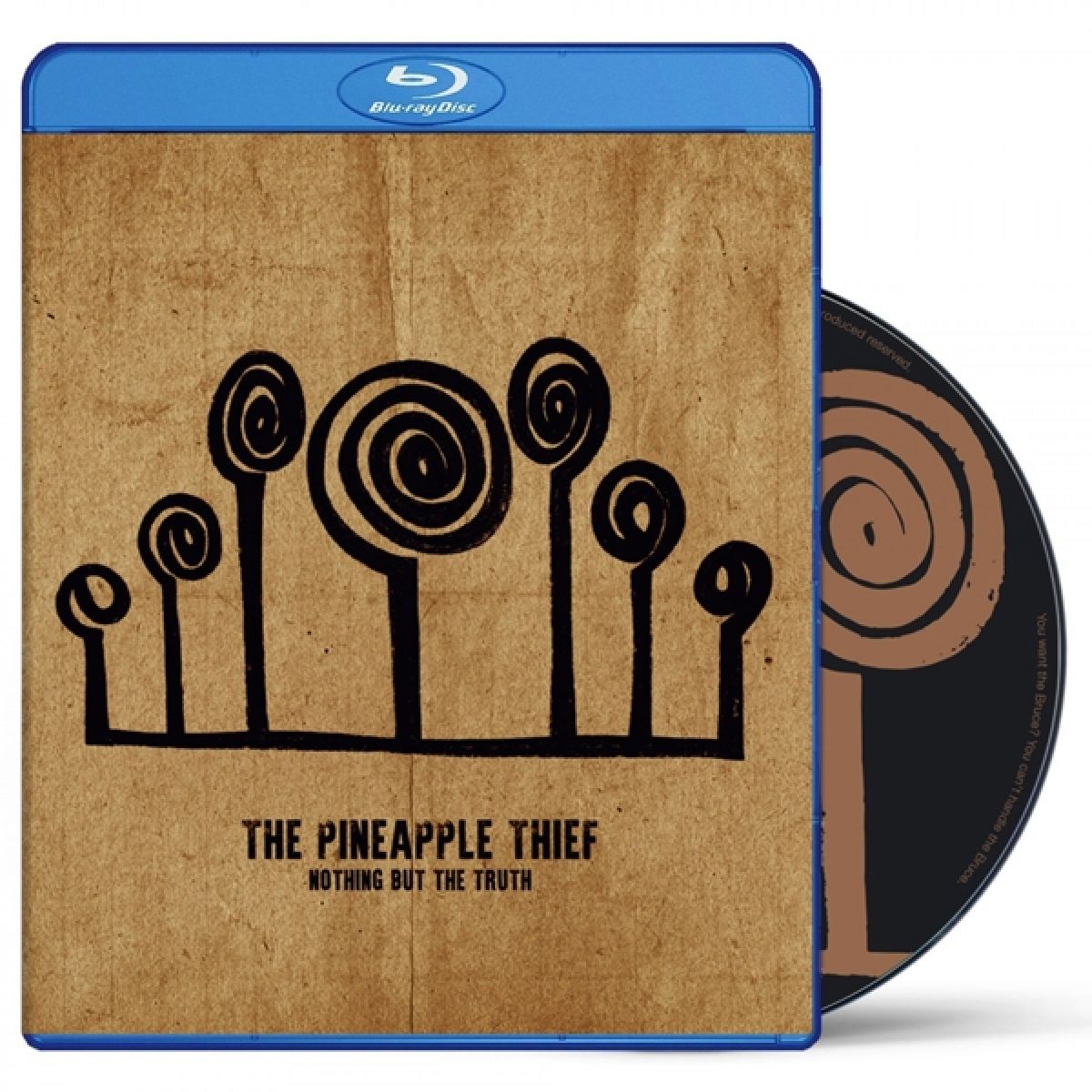Afbeelding van Pineapple Thief - Nothing But The Truth