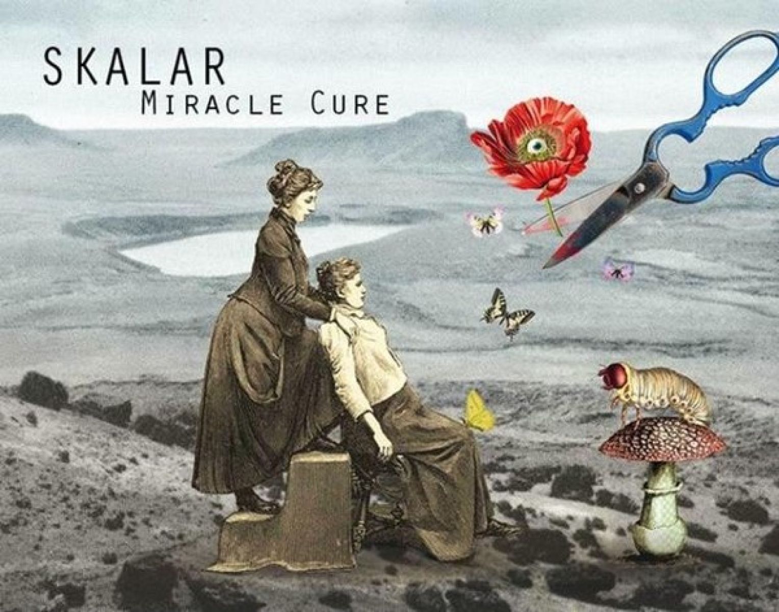Afbeelding van Skalar - Miracle Cure