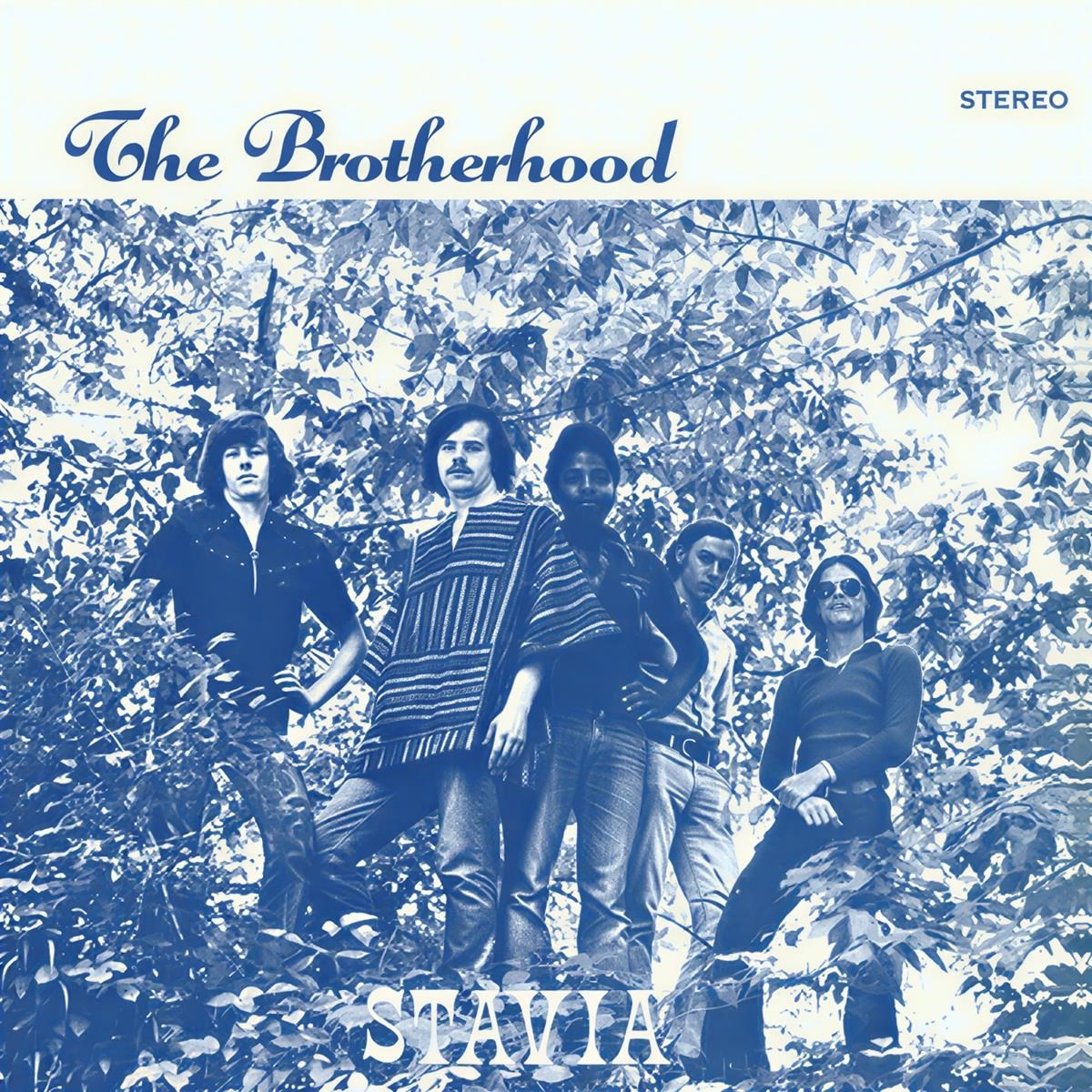 Afbeelding van The Brotherhood - Stavia