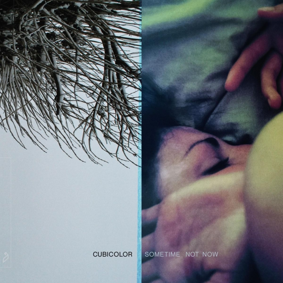 Afbeelding van Cubicolor - Sometime Not Now