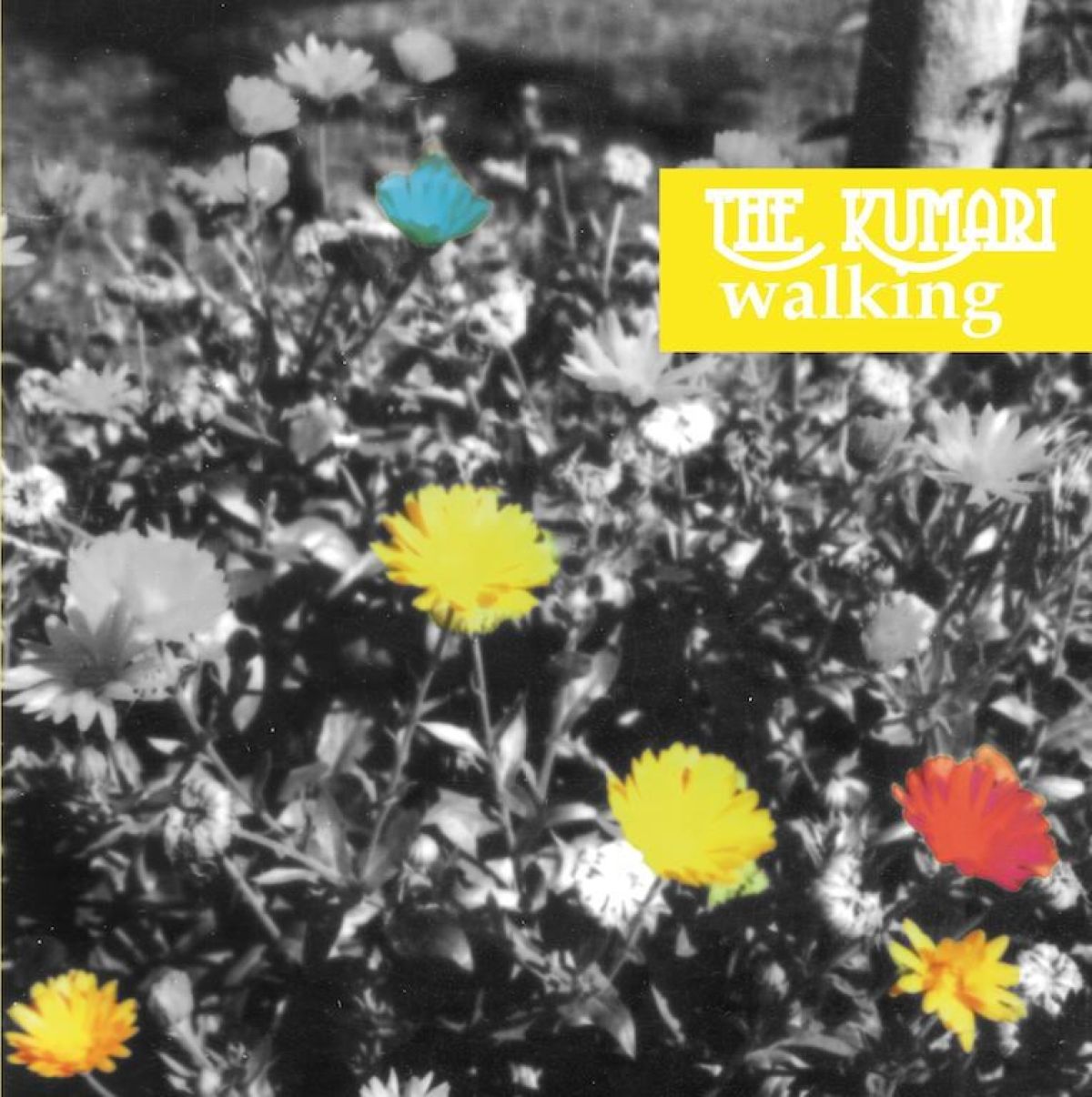 Afbeelding van Kumari - Walking