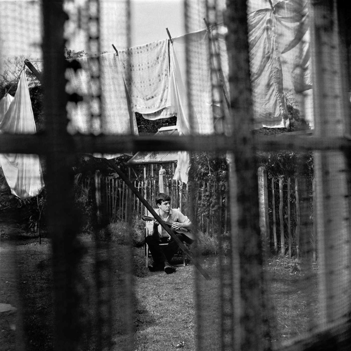 Afbeelding van Paul McCartney - Chaos And Creation In The Backyard
