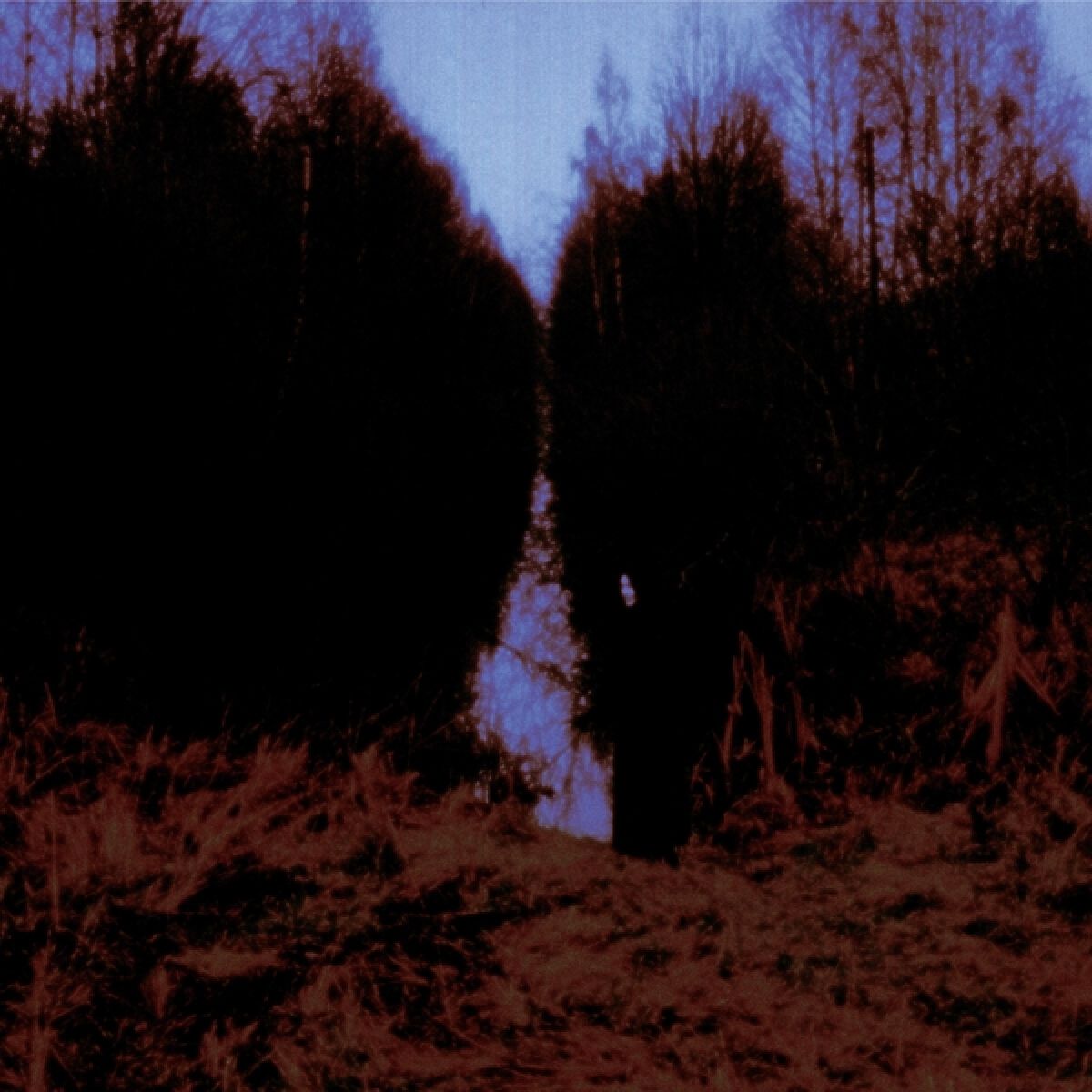 Opeth - My Arms, Your Hearse