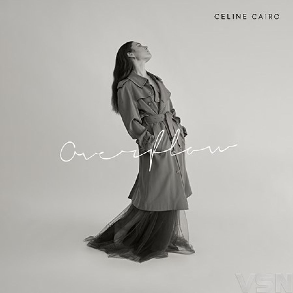 Afbeelding van Celine Cairo - Overflow
