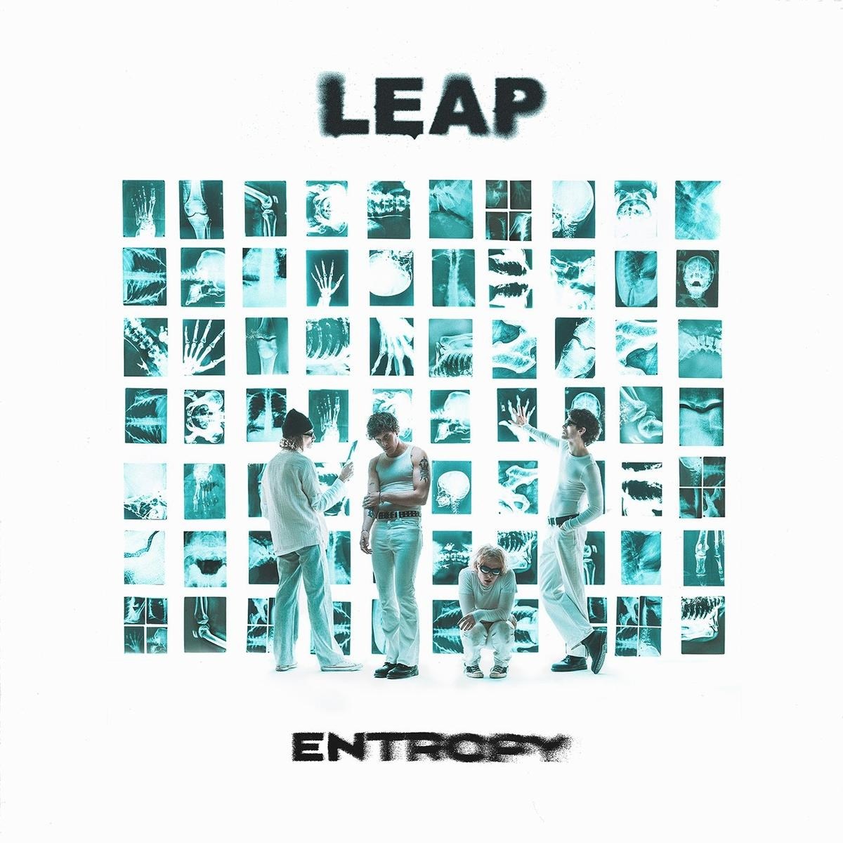Afbeelding van Leap - Entropy