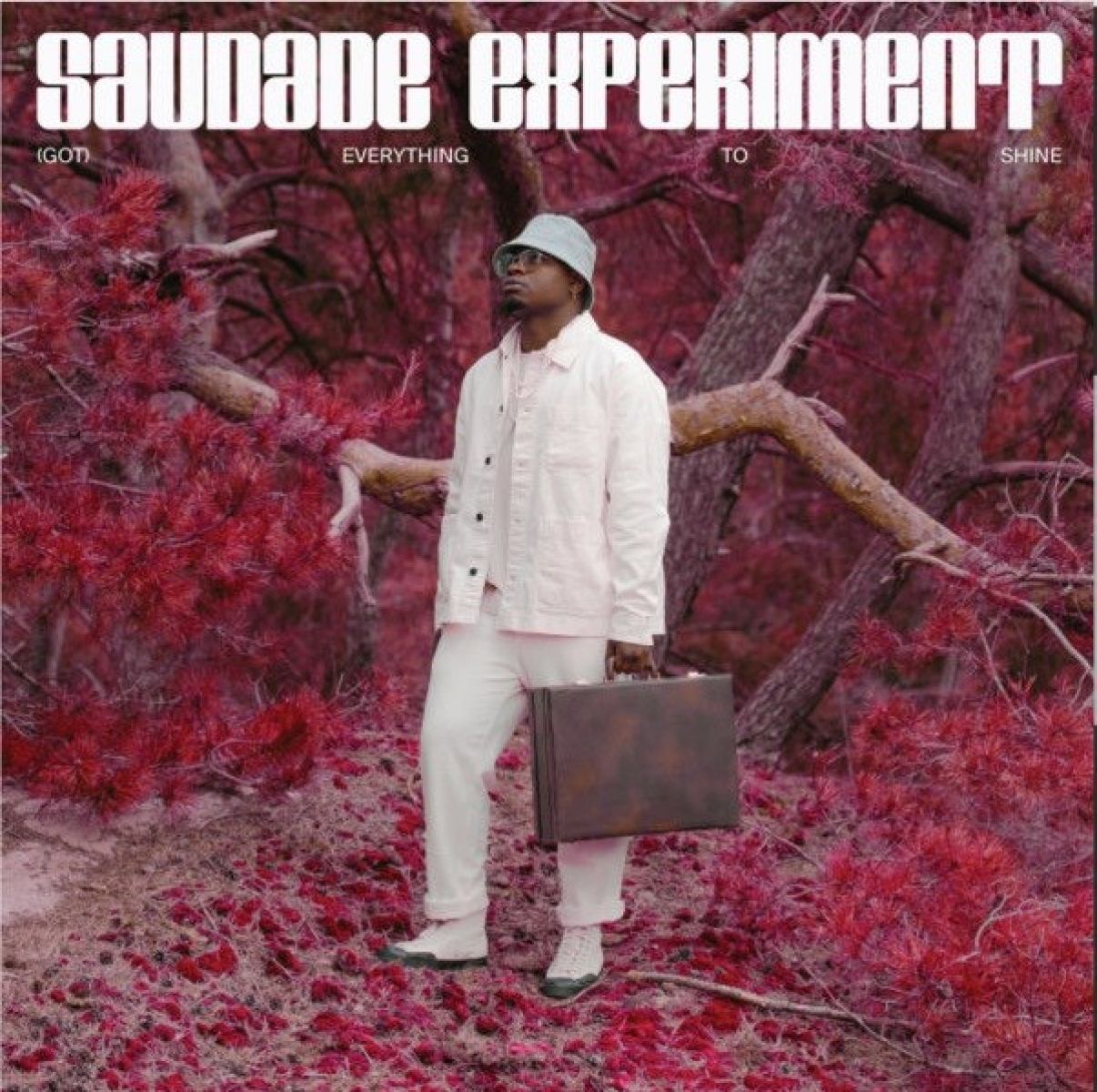 Saudade Experiment - (Got) Everything To Shine