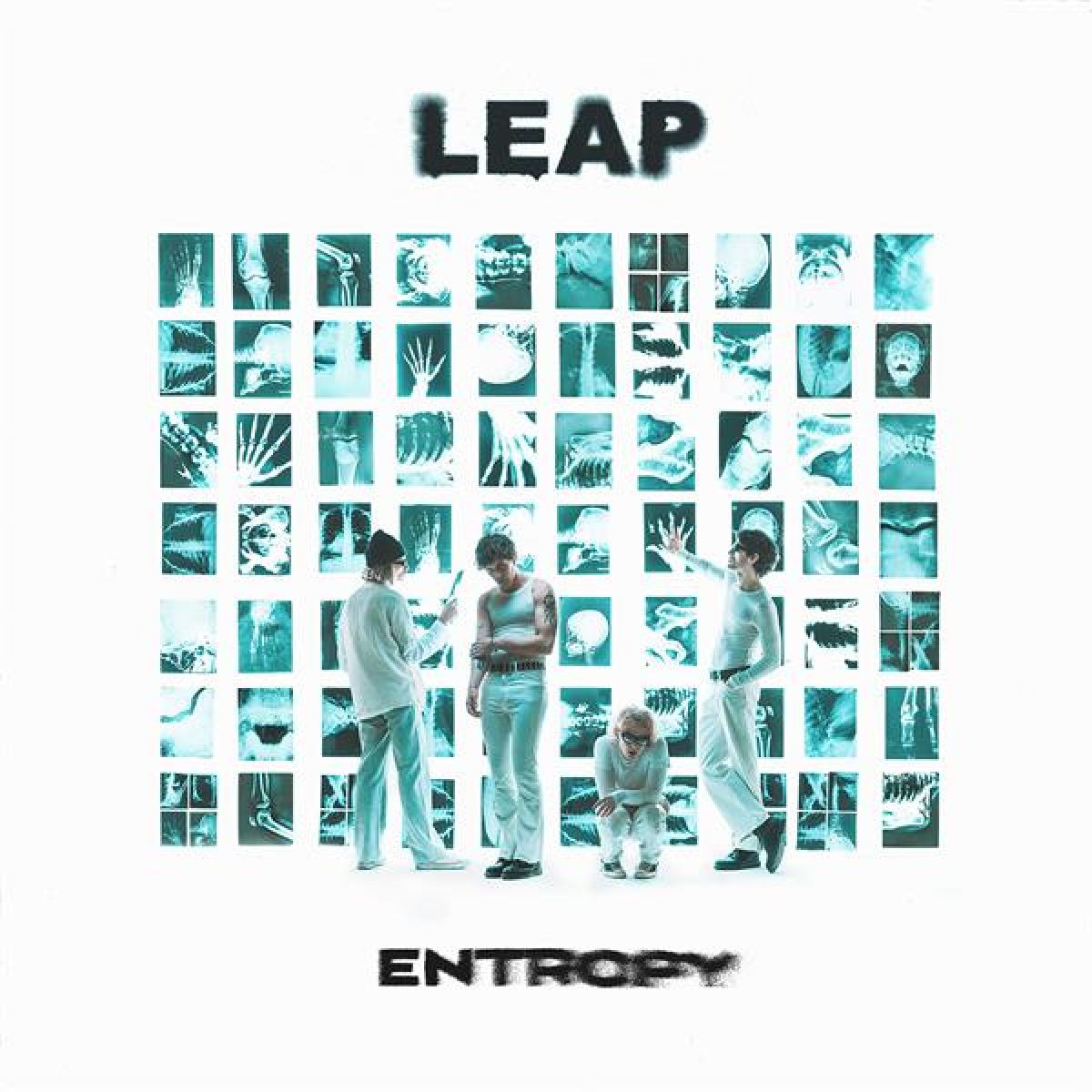 Afbeelding van Leap - Entropy