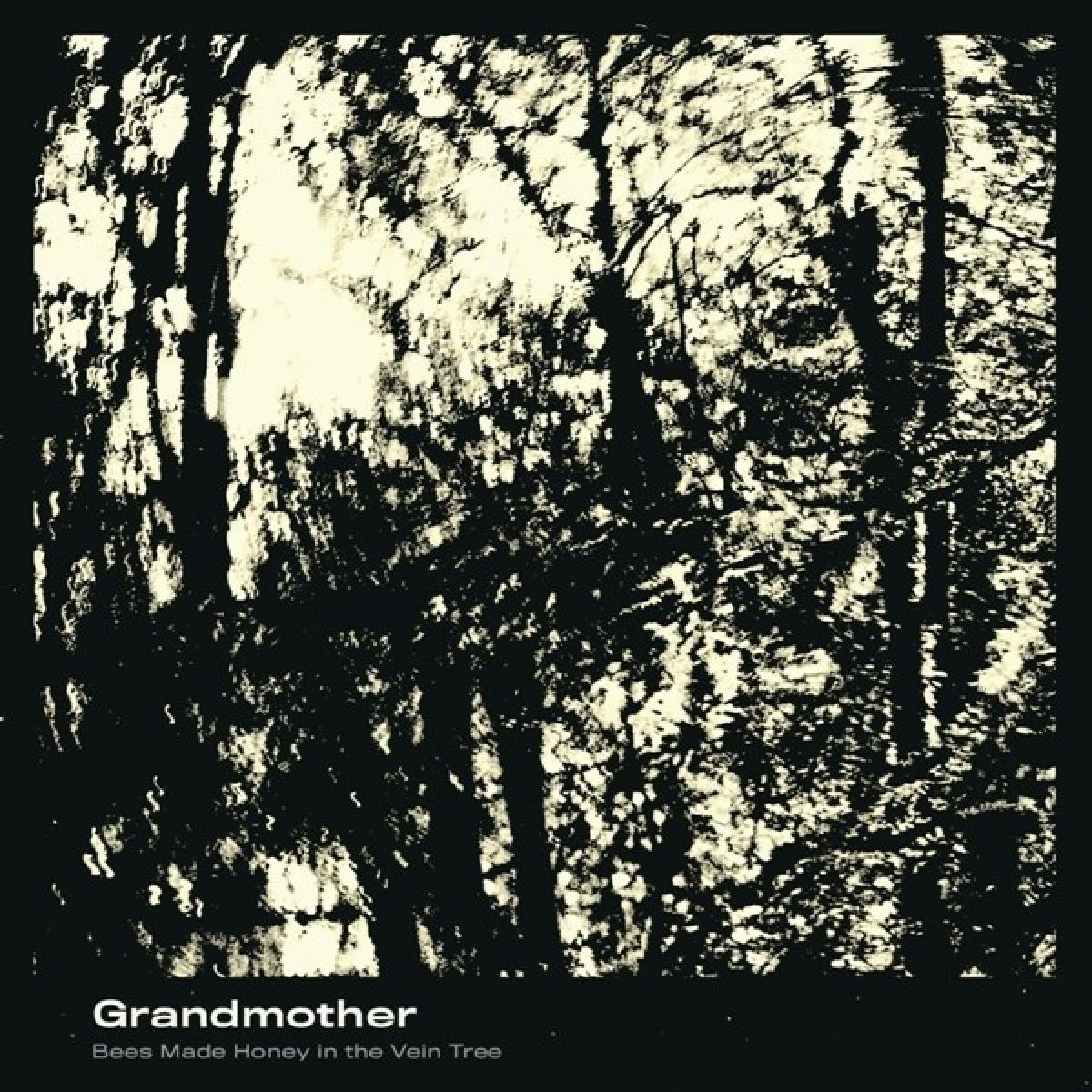 Afbeelding van Bees Made Honey In The Vein Tree - Grandmother