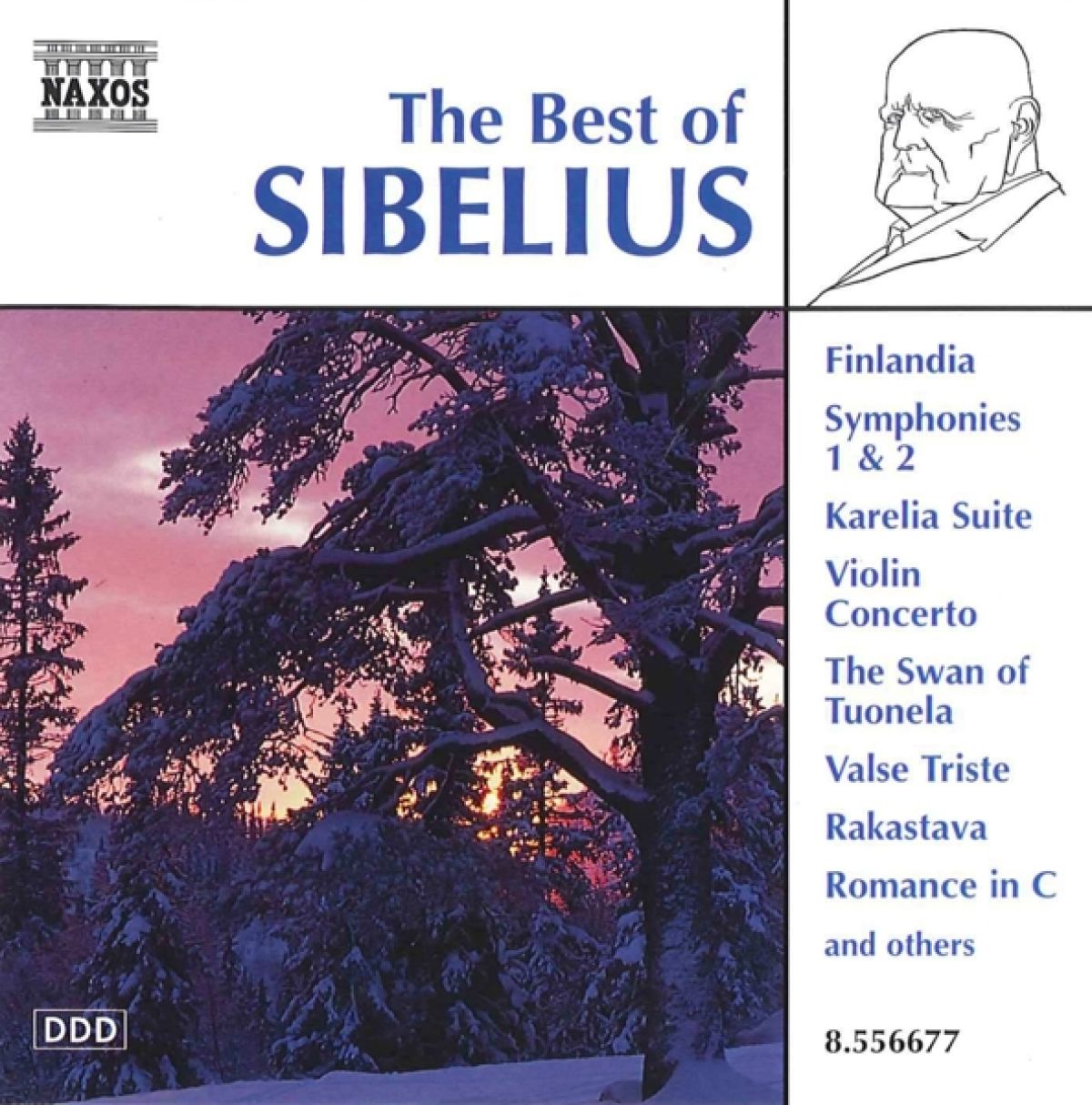 Afbeelding van Various Artists - Best Of Sibelius