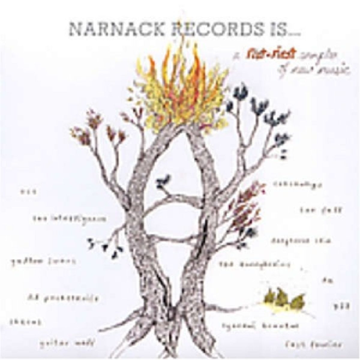 Afbeelding van Various Artists - Narnack Records Is... A Fist-First Sampler Of New Music