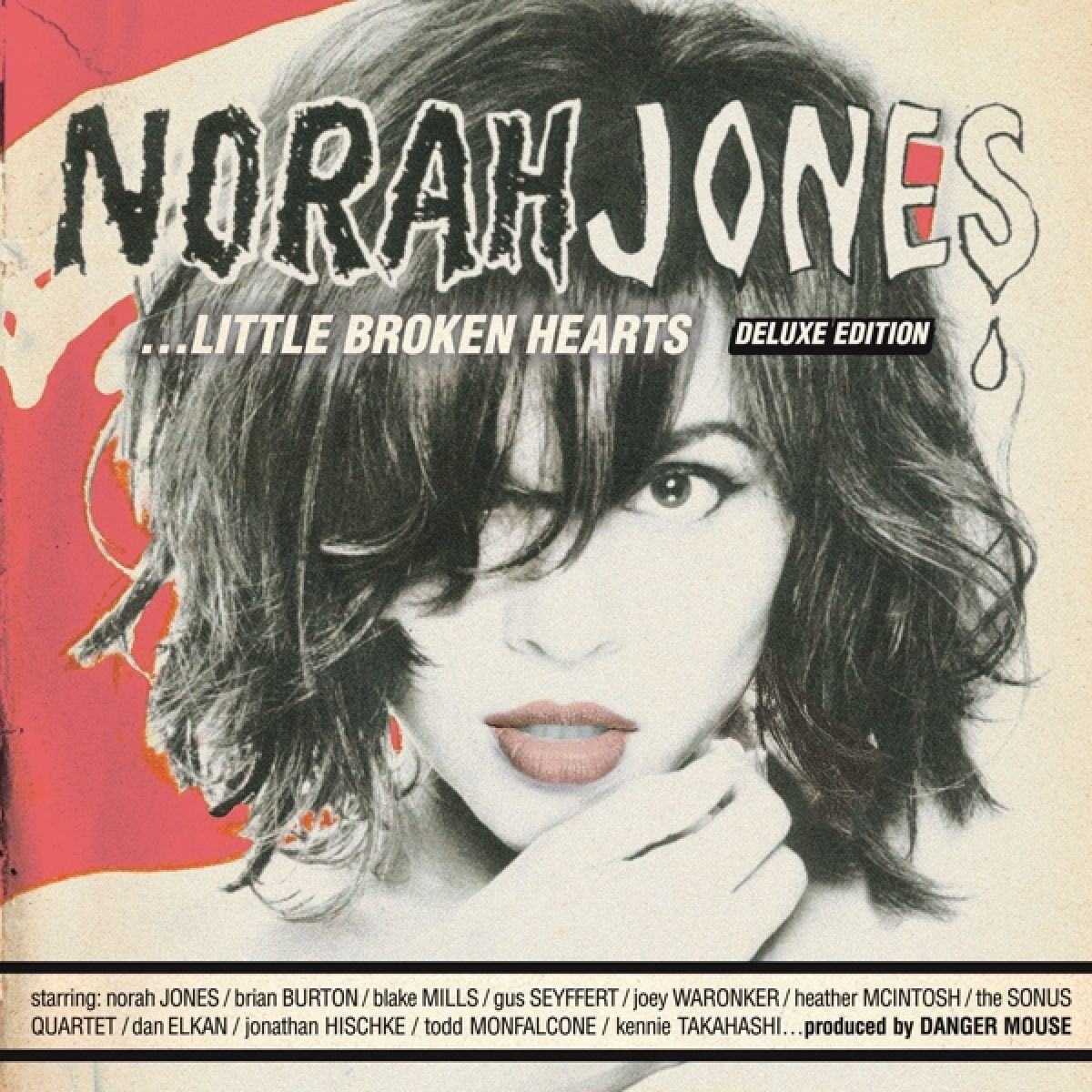 Afbeelding van Norah Jones - ...Little Broken Hearts