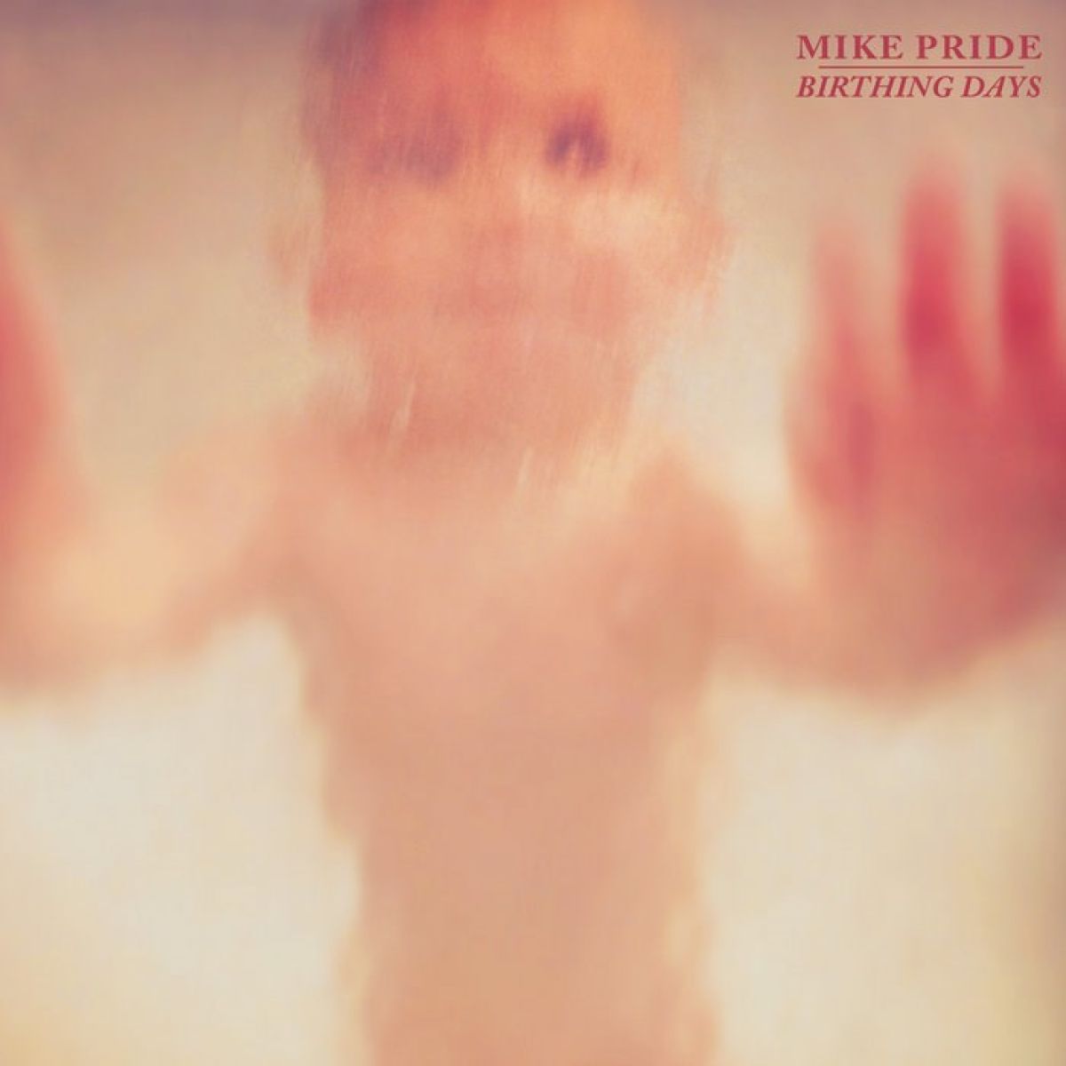 Afbeelding van Mike Pride - Birthing Days