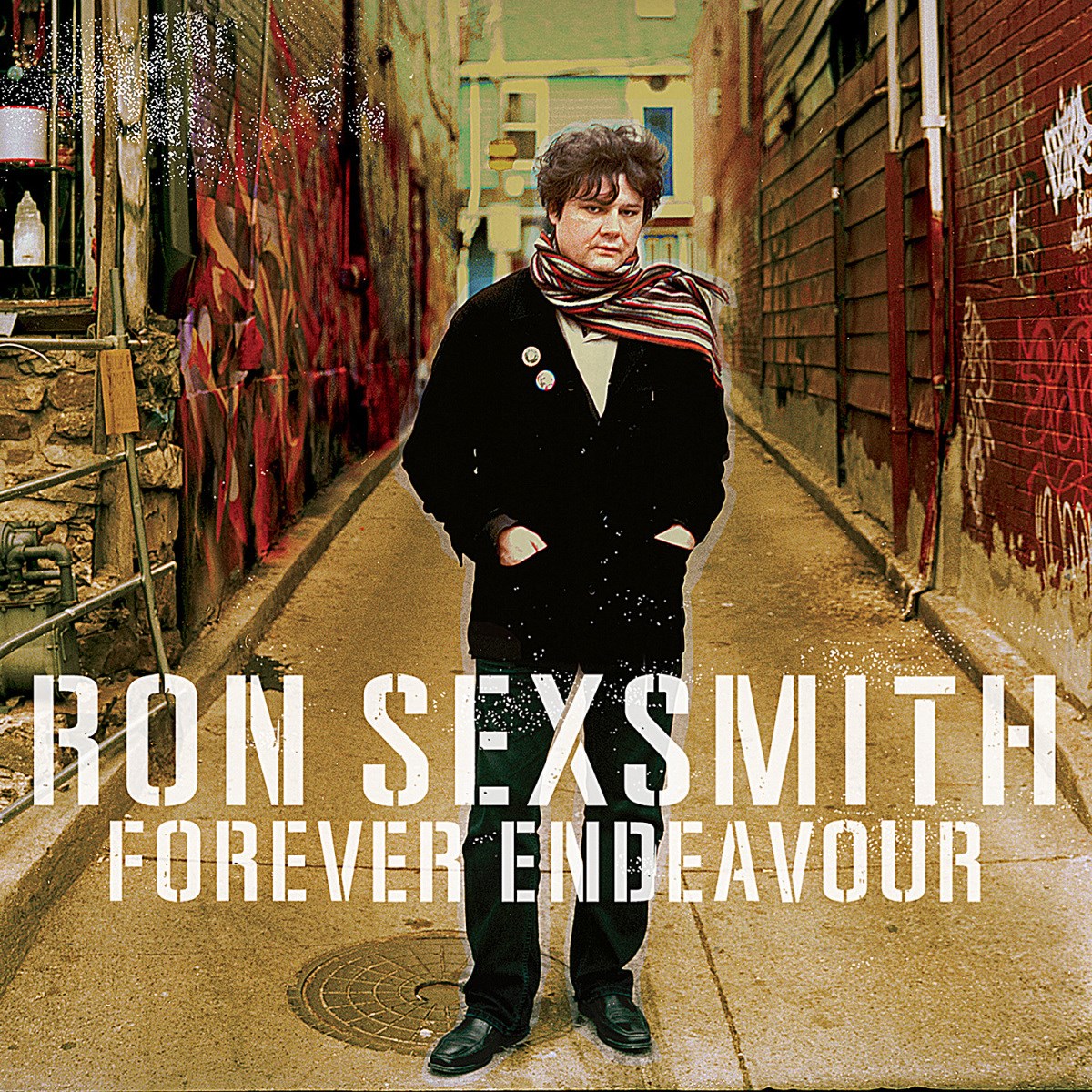 Afbeelding van Ron Sexsmith - Forever Endeavour