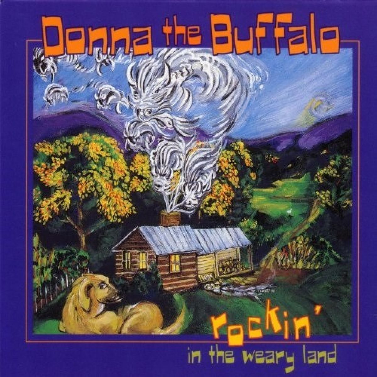 Afbeelding van Donna The Buffalo - Rockin' In The Weary Land