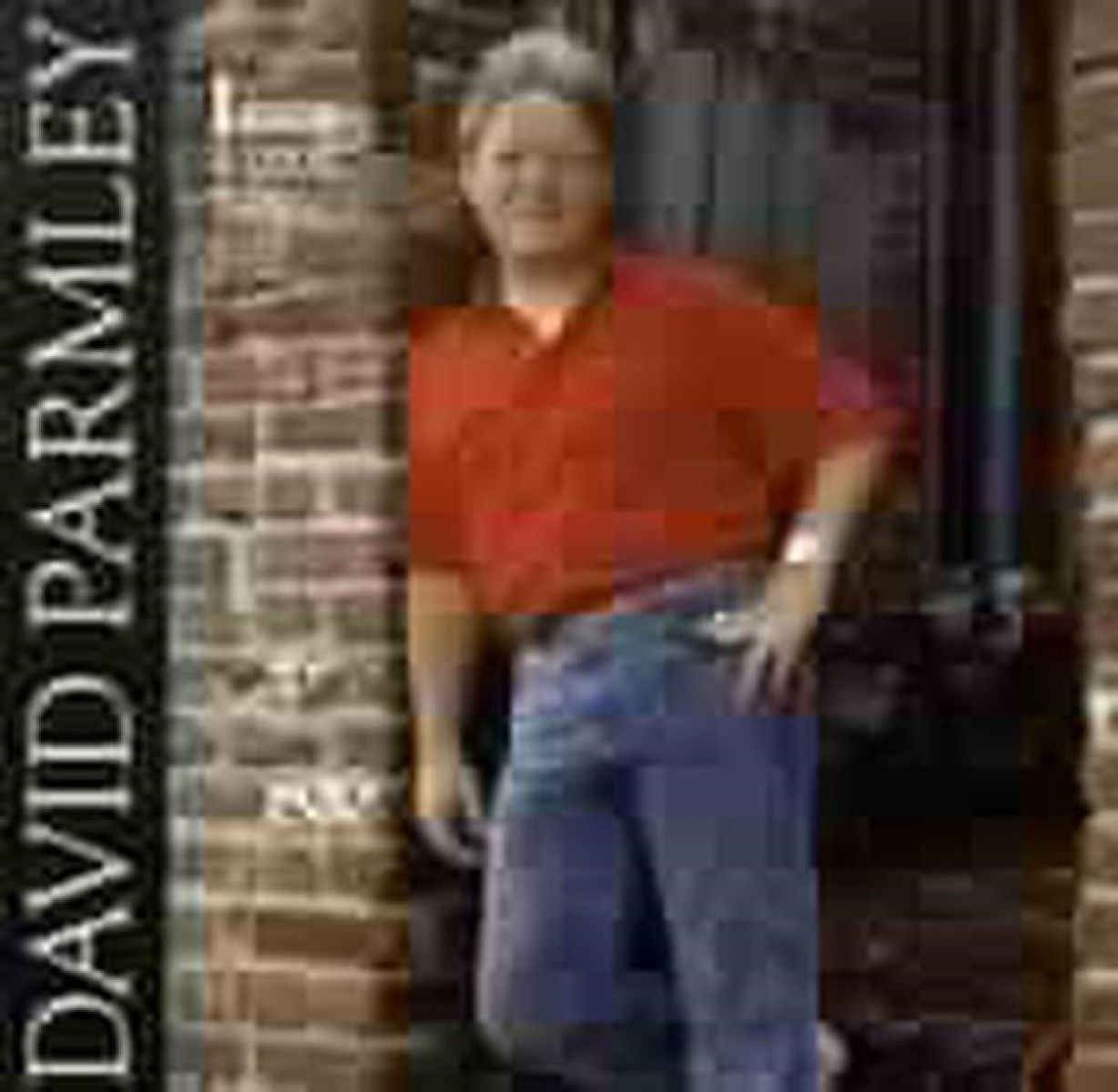 Afbeelding van David Parmley - I Know A Good Thing