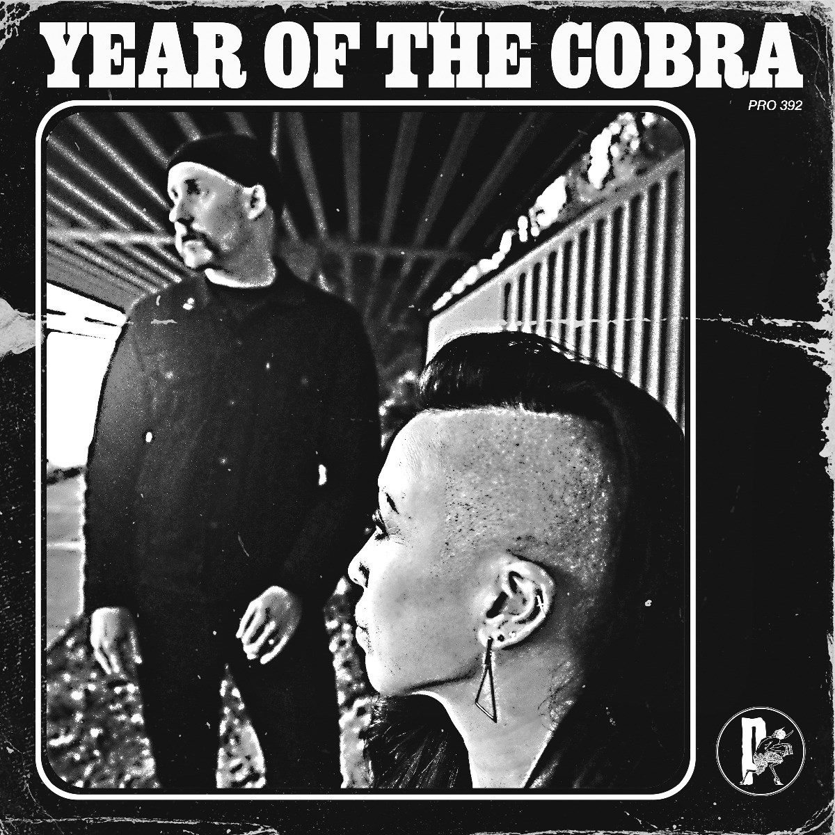 Afbeelding van Year Of The Cobra - Year Of The Cobra
