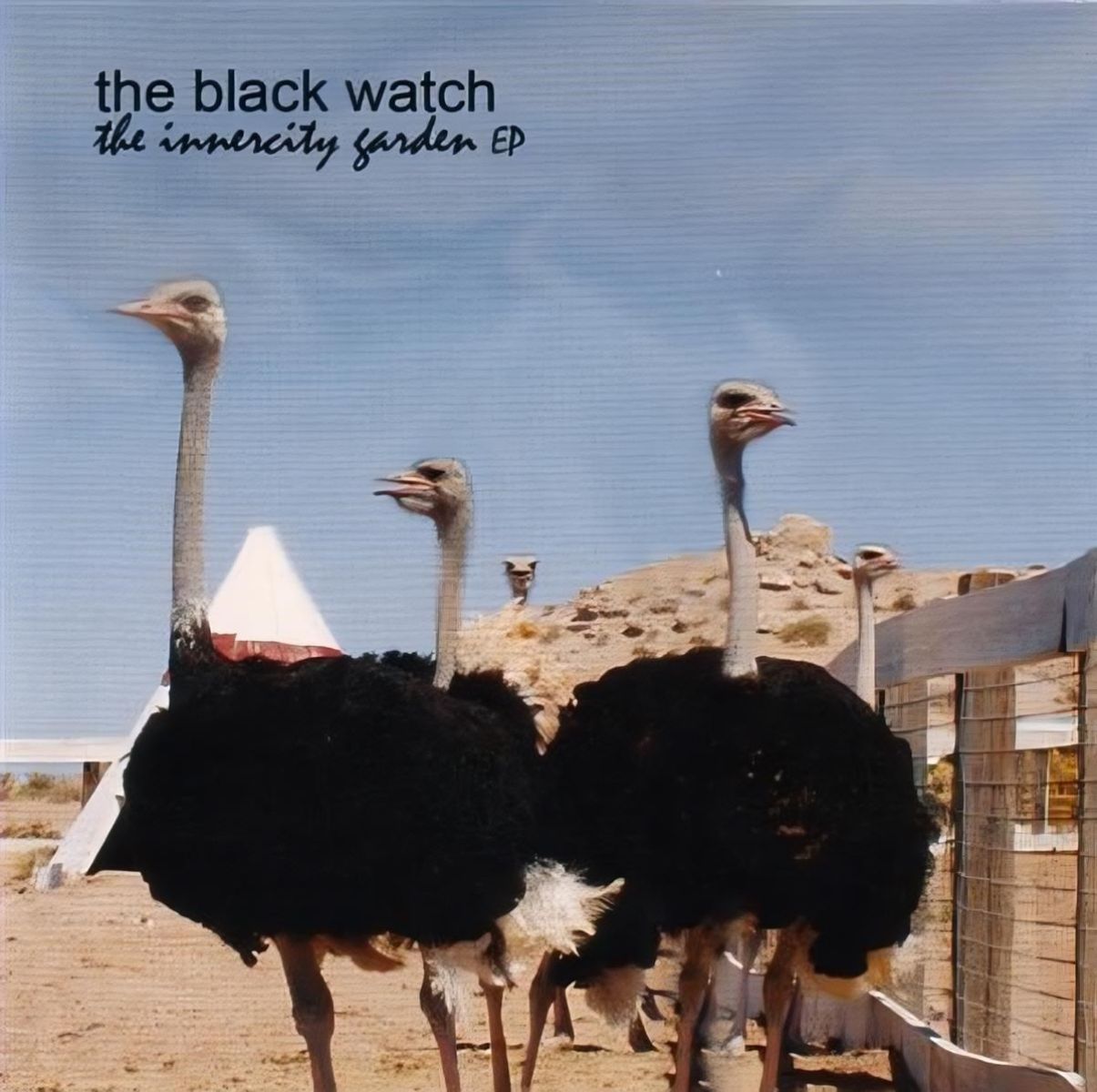 Afbeelding van The Black Watch - The Innercity Garden EP