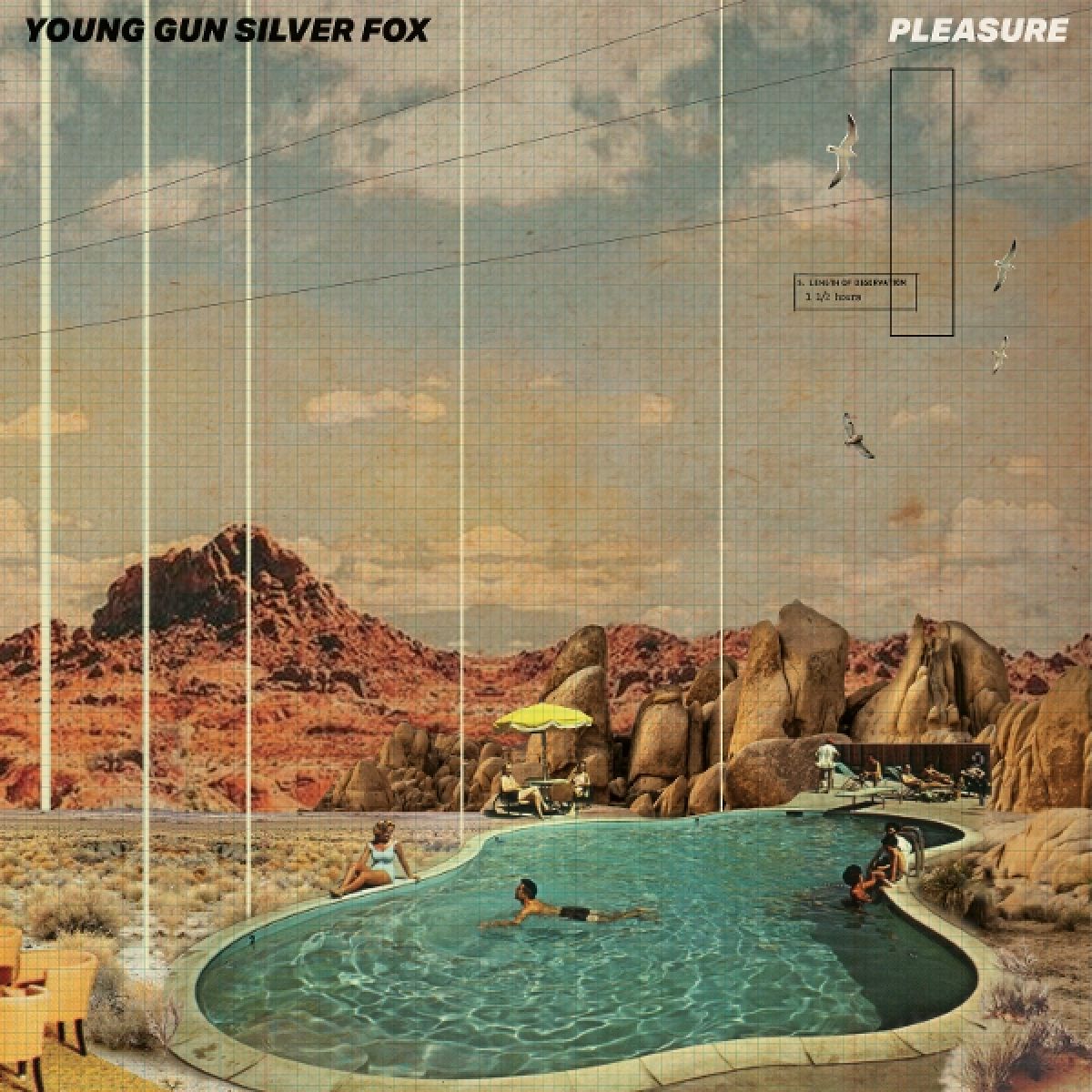 Afbeelding van Young Gun Silver Fox - Pleasure