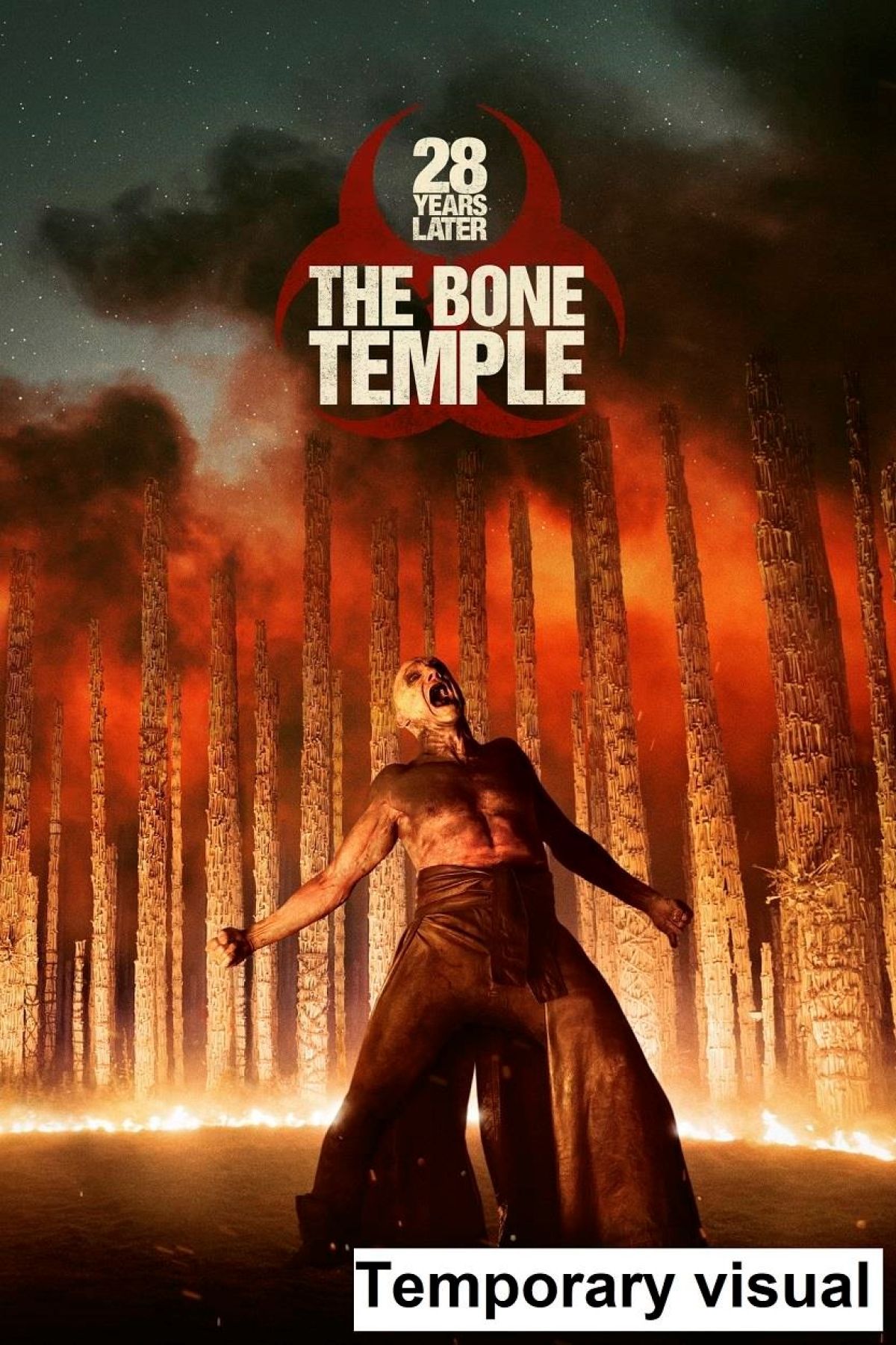 Afbeelding van 28 Years Later - The Bone Temple