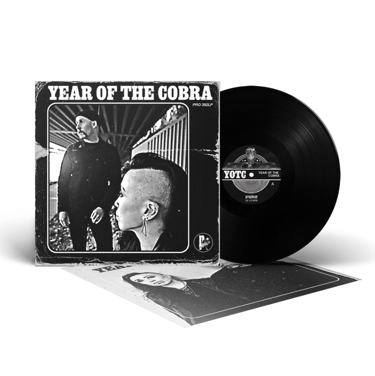 Afbeelding van Year Of The Cobra
