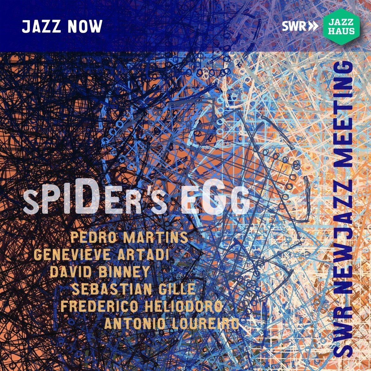 Pedro Martins - Spider's Egg (SWR Newjazz Meeting 2017)
