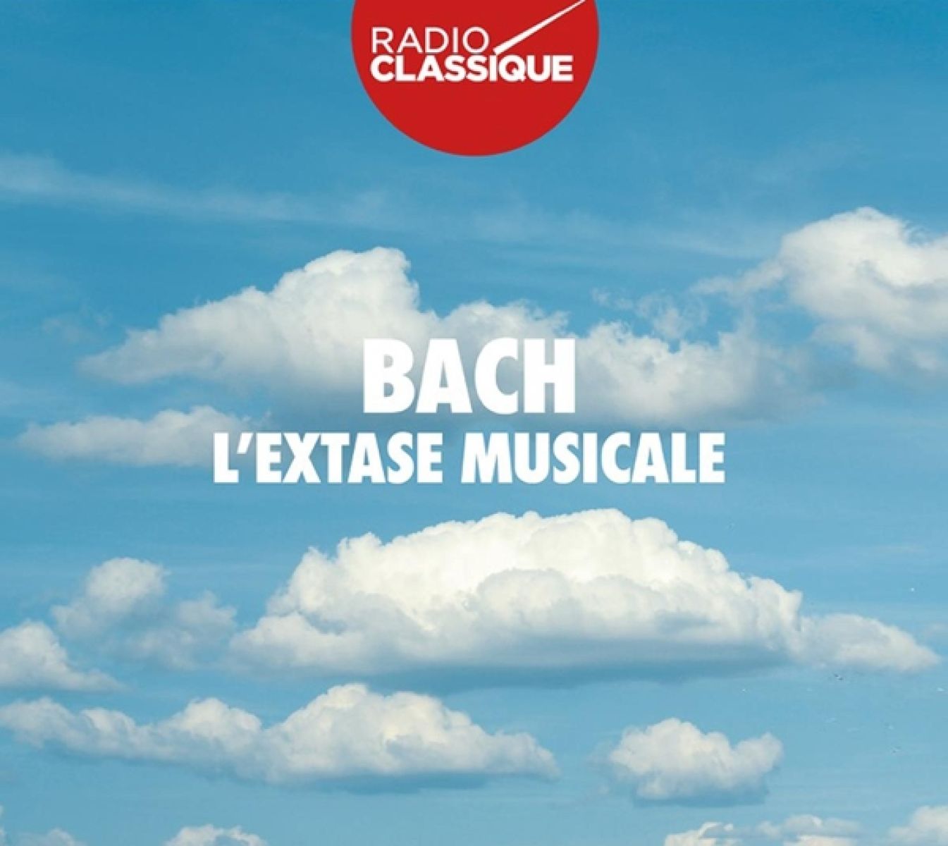Vox Luminis, Café Zimmermann, Gli Incogniti, Collegium Vocale Gent, Philippe Herreweghe - J.S. Bach: L'extase Musicale
