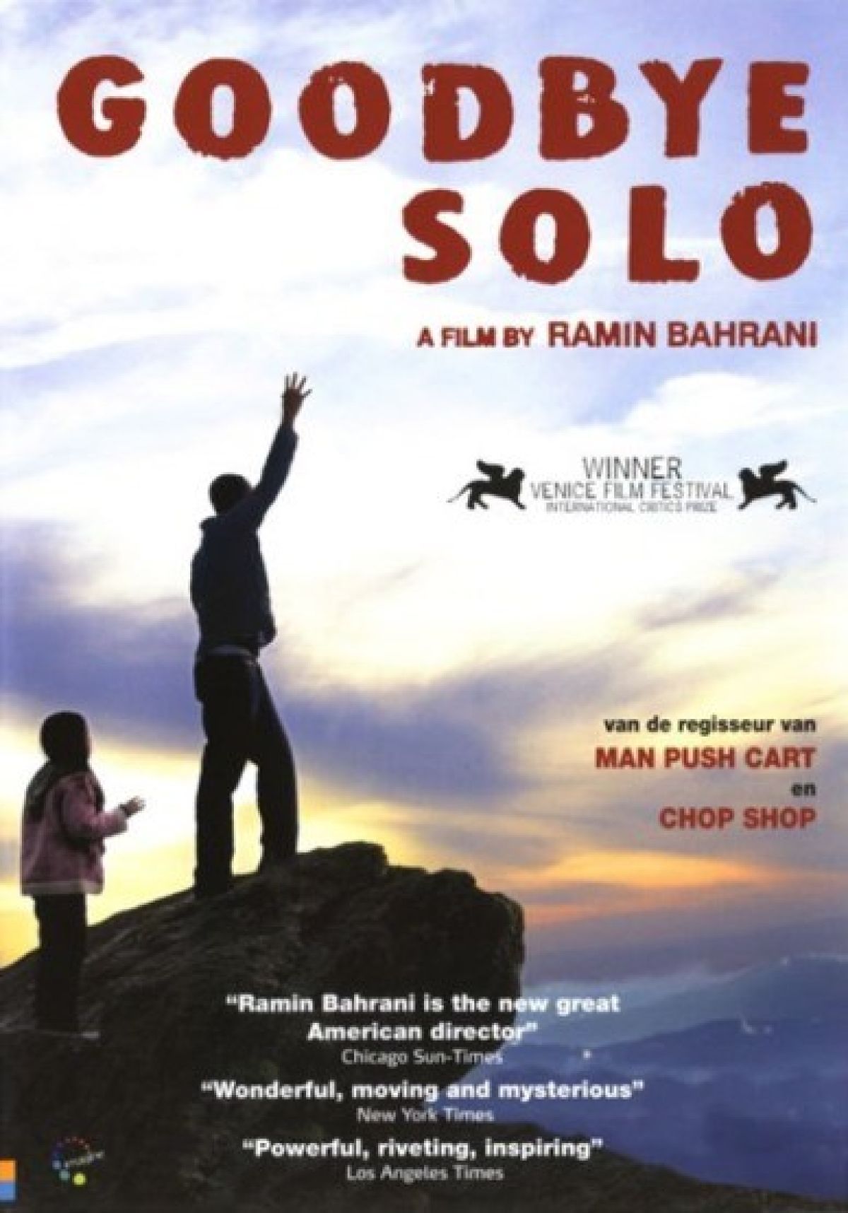 Goodbye Solo