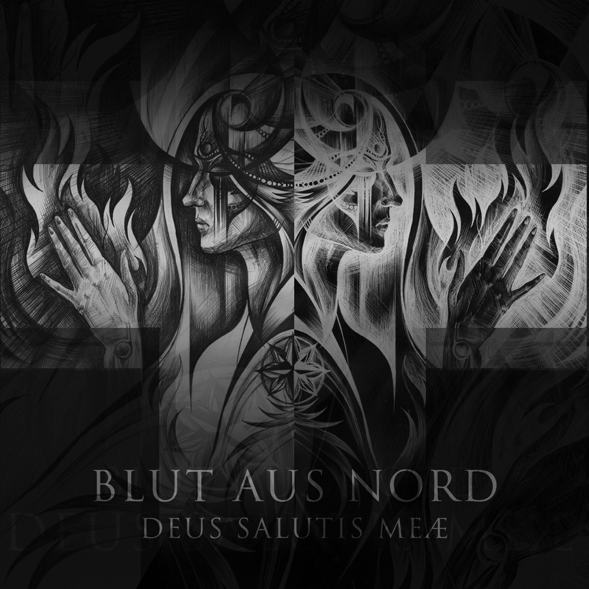 Afbeelding van Blut Aus Nord - Deus Salutis Meae