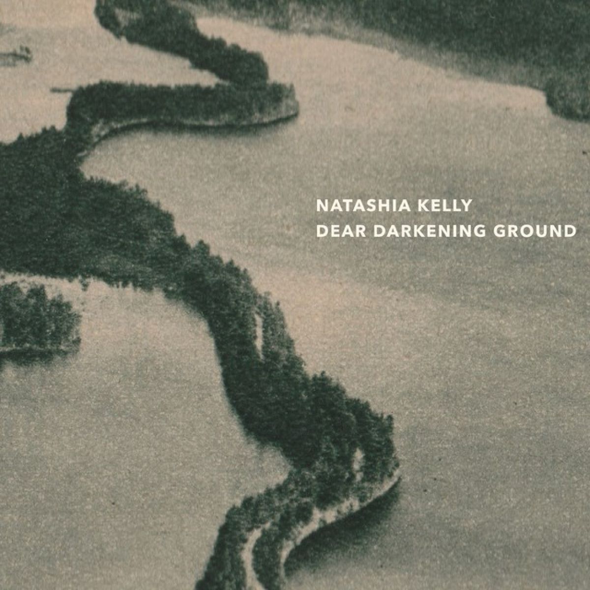 Natashia Kelly - Dear Darkening Ground