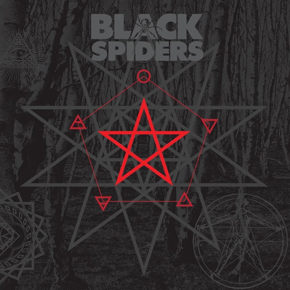 Afbeelding van Black Spiders