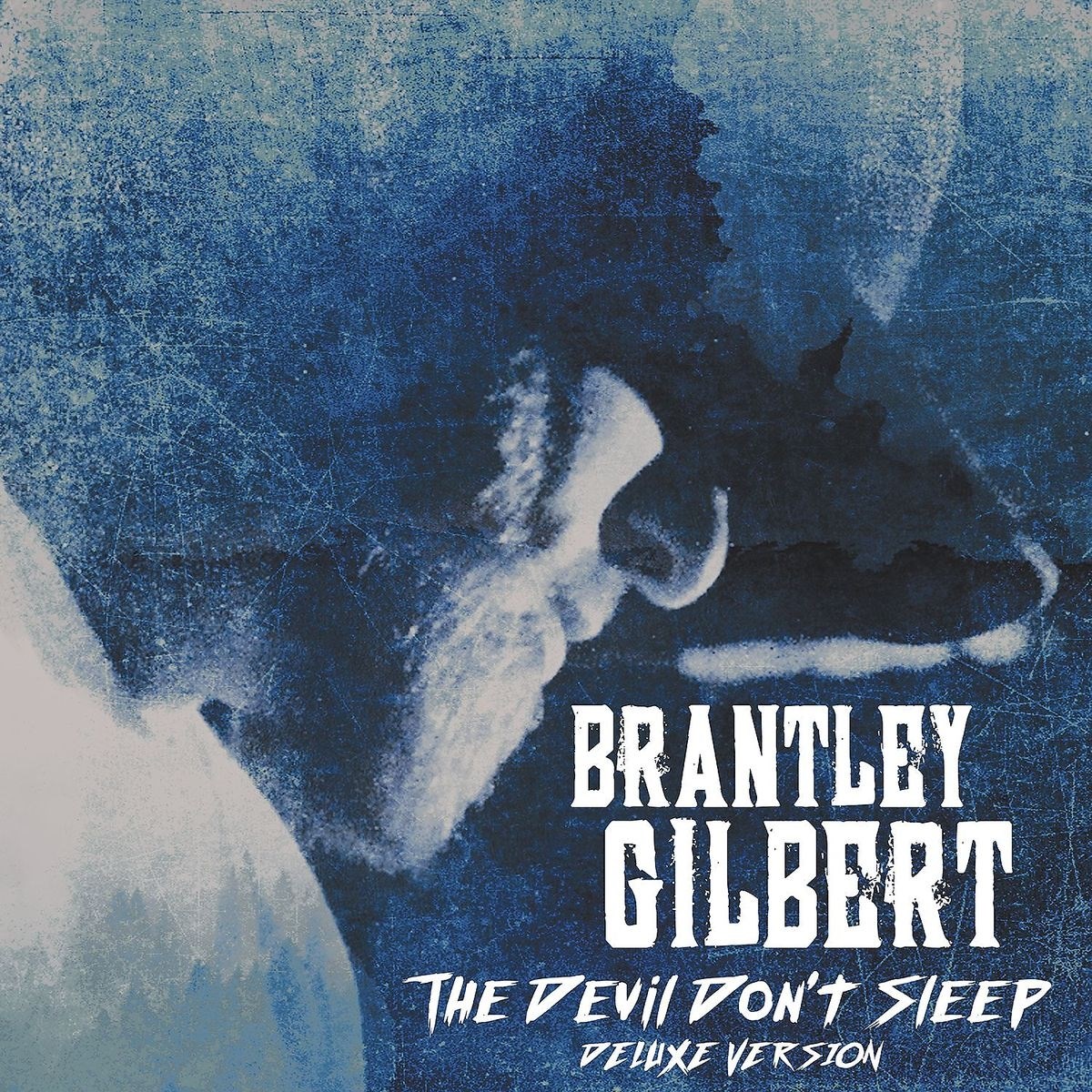 Afbeelding van Brantley Gilbert - The Devil Don't Sleep