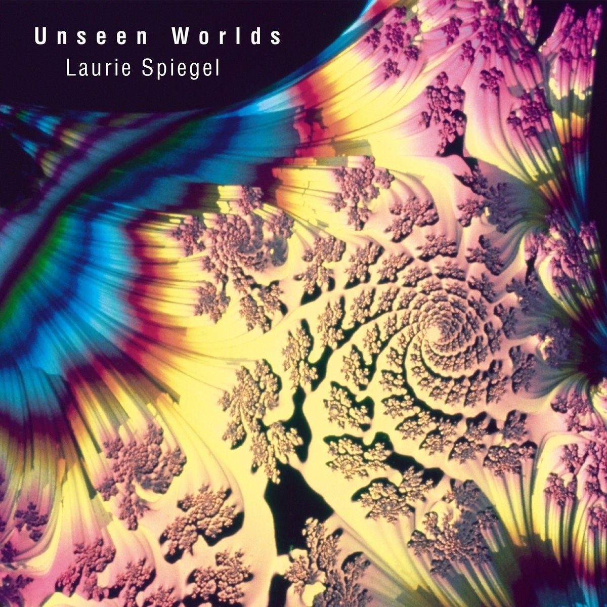 Afbeelding van Unseen Worlds