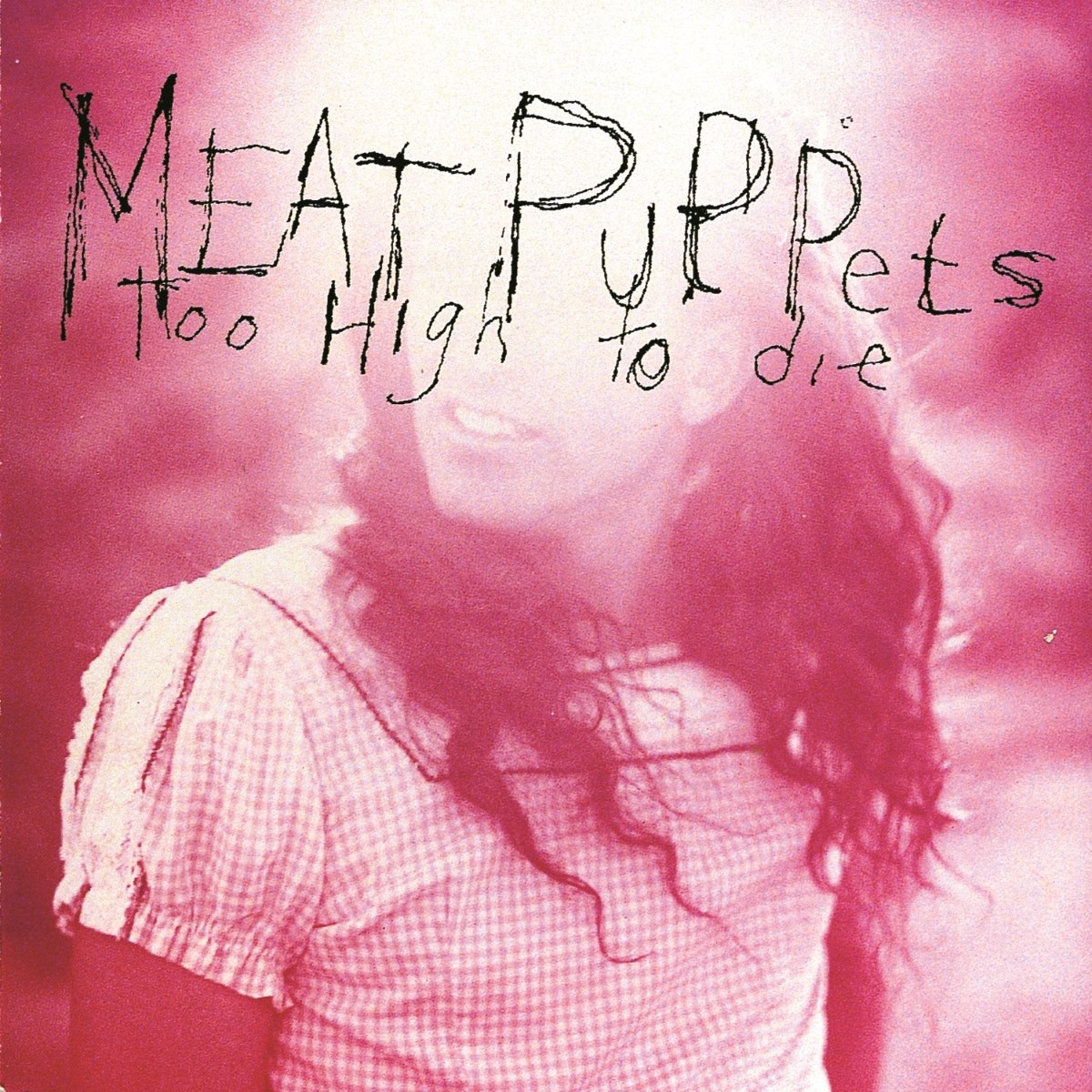 Afbeelding van Meat Puppets - Too High To Die