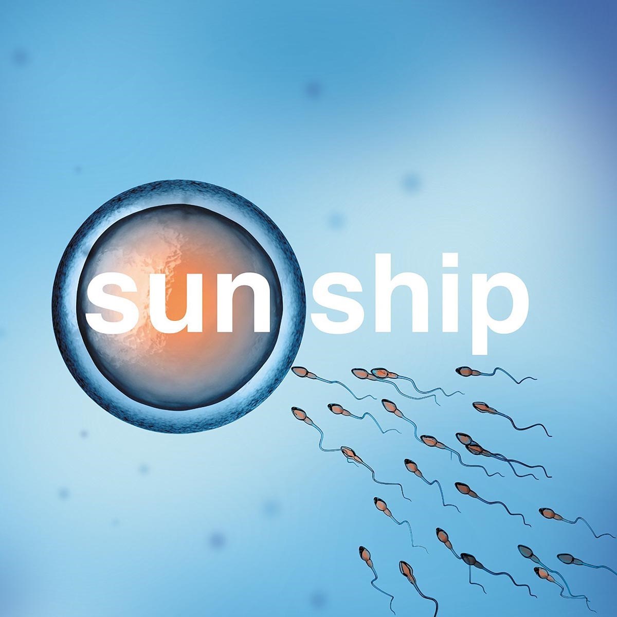 Afbeelding van Brian Jonestown Massacre - Sun Ship