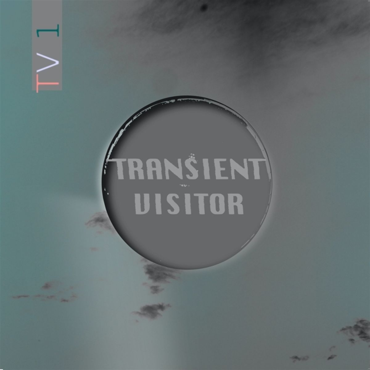 Afbeelding van Transient Visitor - TV 1