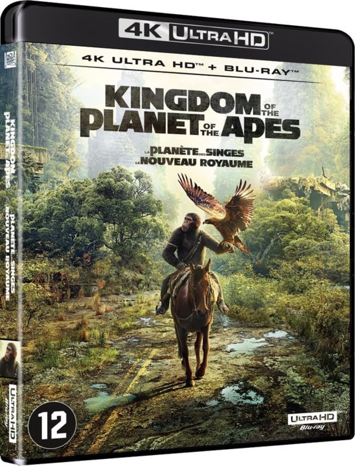 Afbeelding van Kingdom Of The Planet Of The Apes