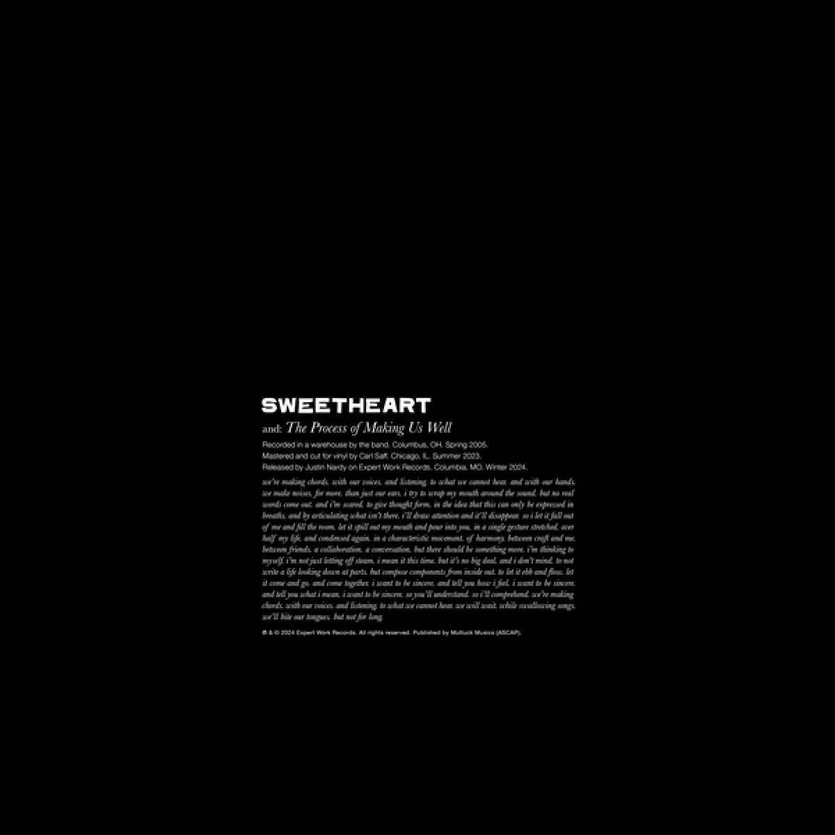 Afbeelding van Sweetheart - The Process Of Making Us Well