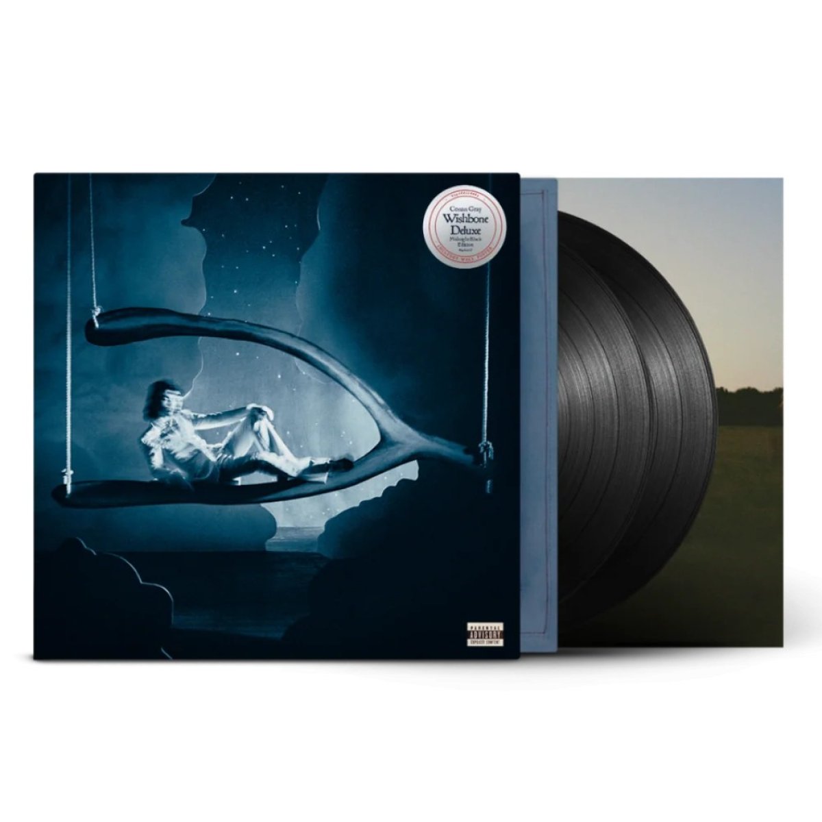 Afbeelding van Conan Gray - Wishbone Deluxe
