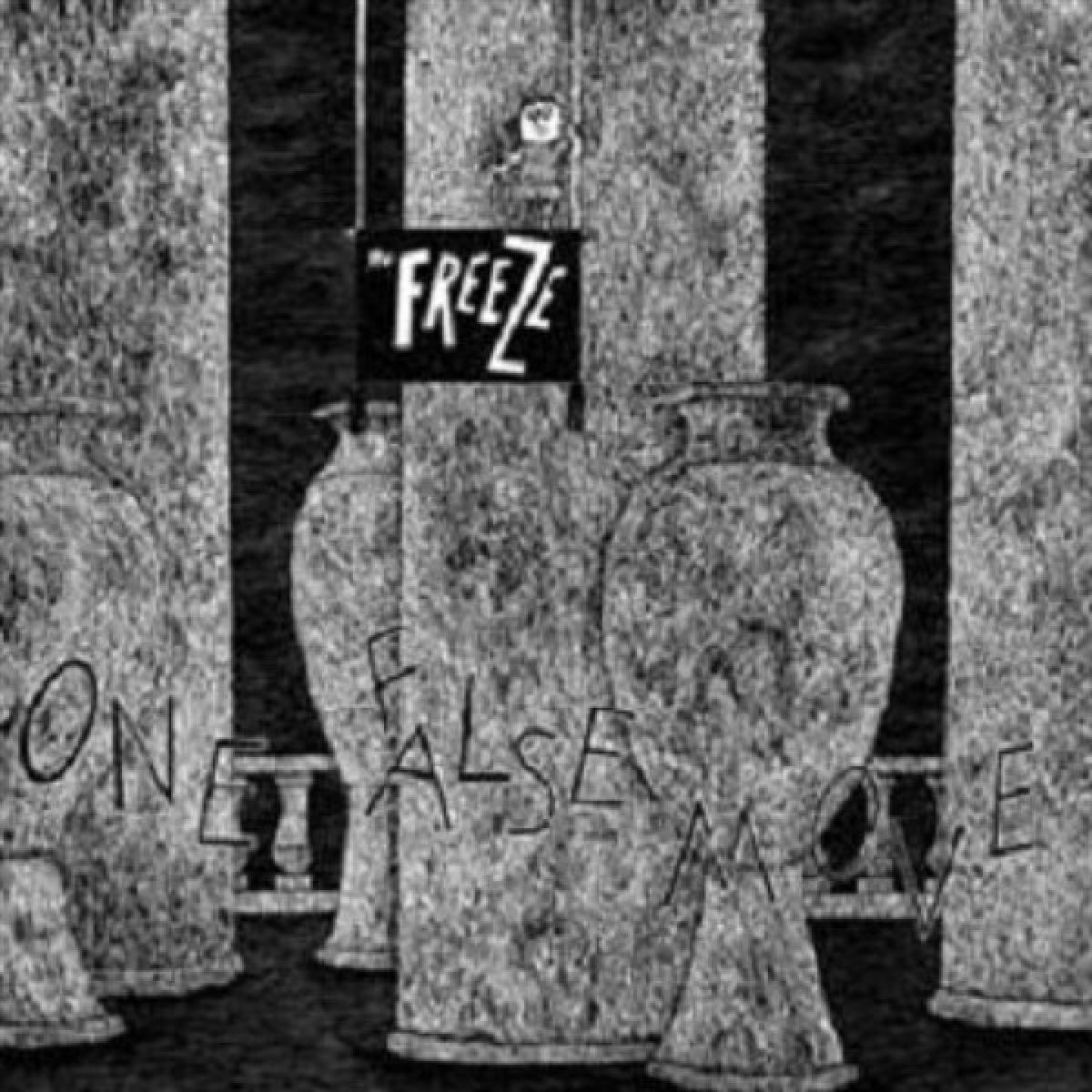 Afbeelding van The Freeze - One False Move