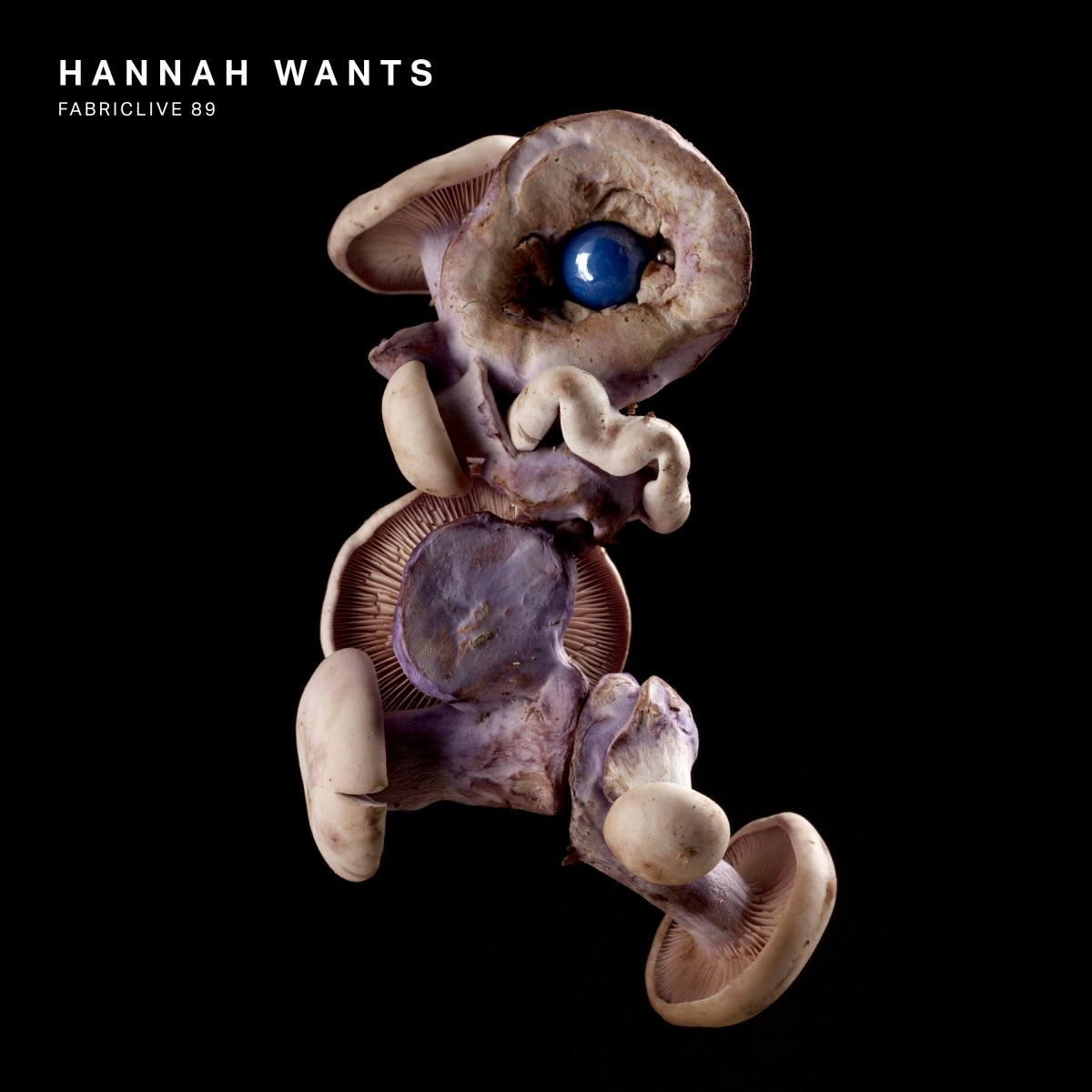 Afbeelding van Hannah Wants - Fabriclive 89 Hannah Wants