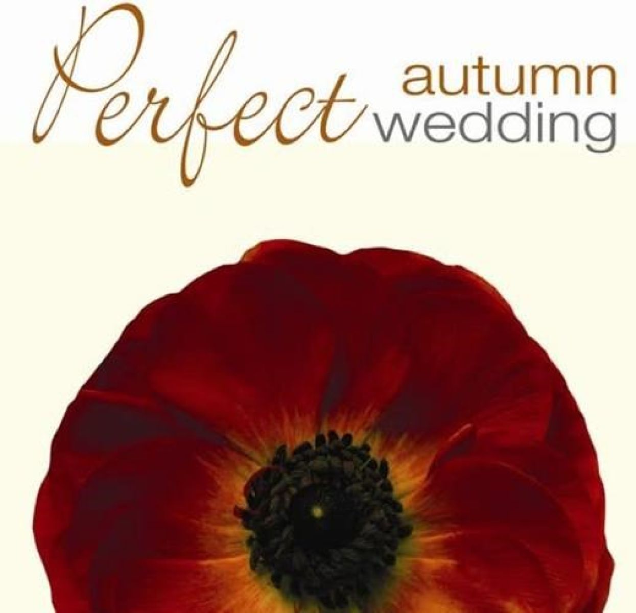 Afbeelding van Various Artists - Perfect Autumn Wedding